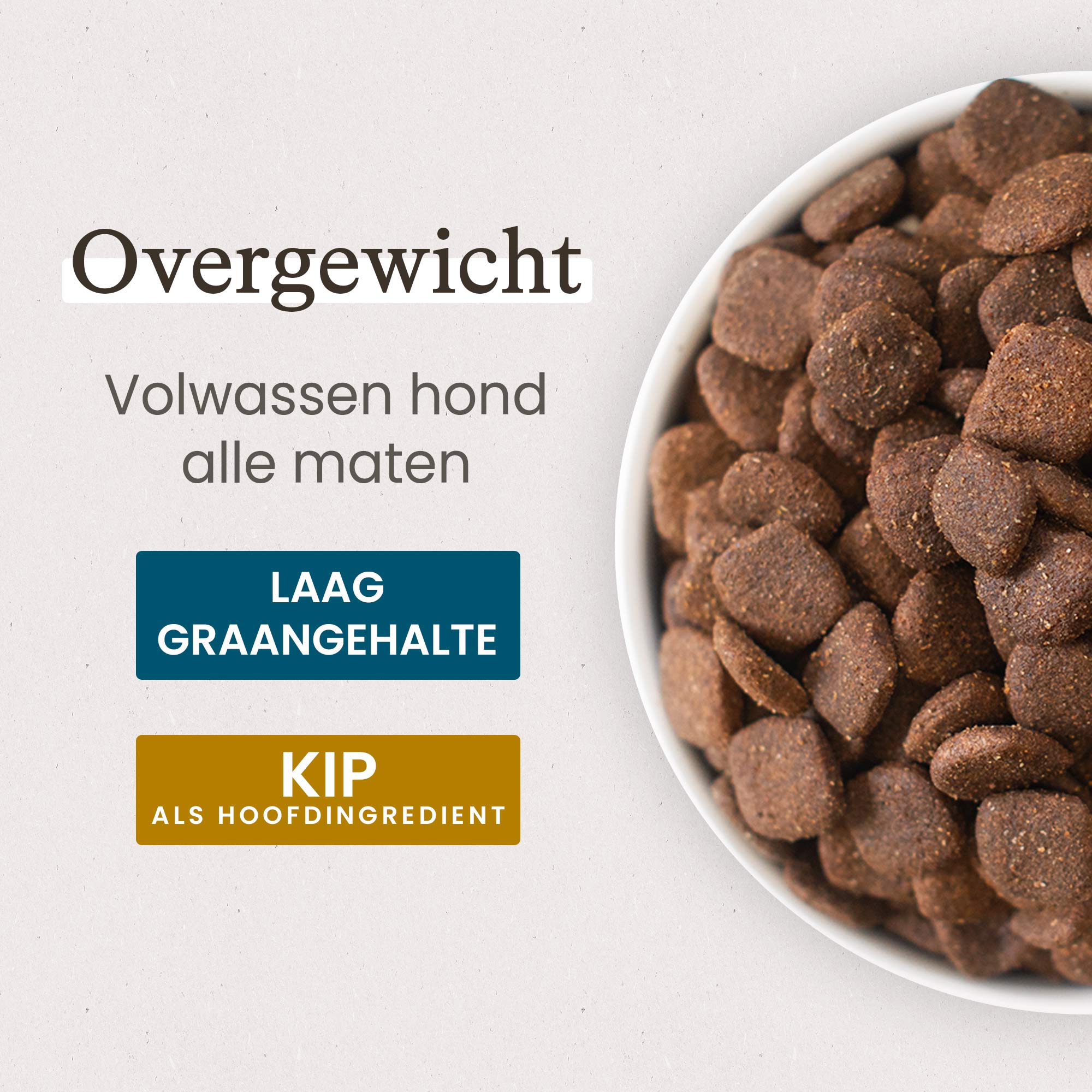 Kom met Brokken voor gesteriliseerd / overgewicht volwassen hond van alle groottes in close-up