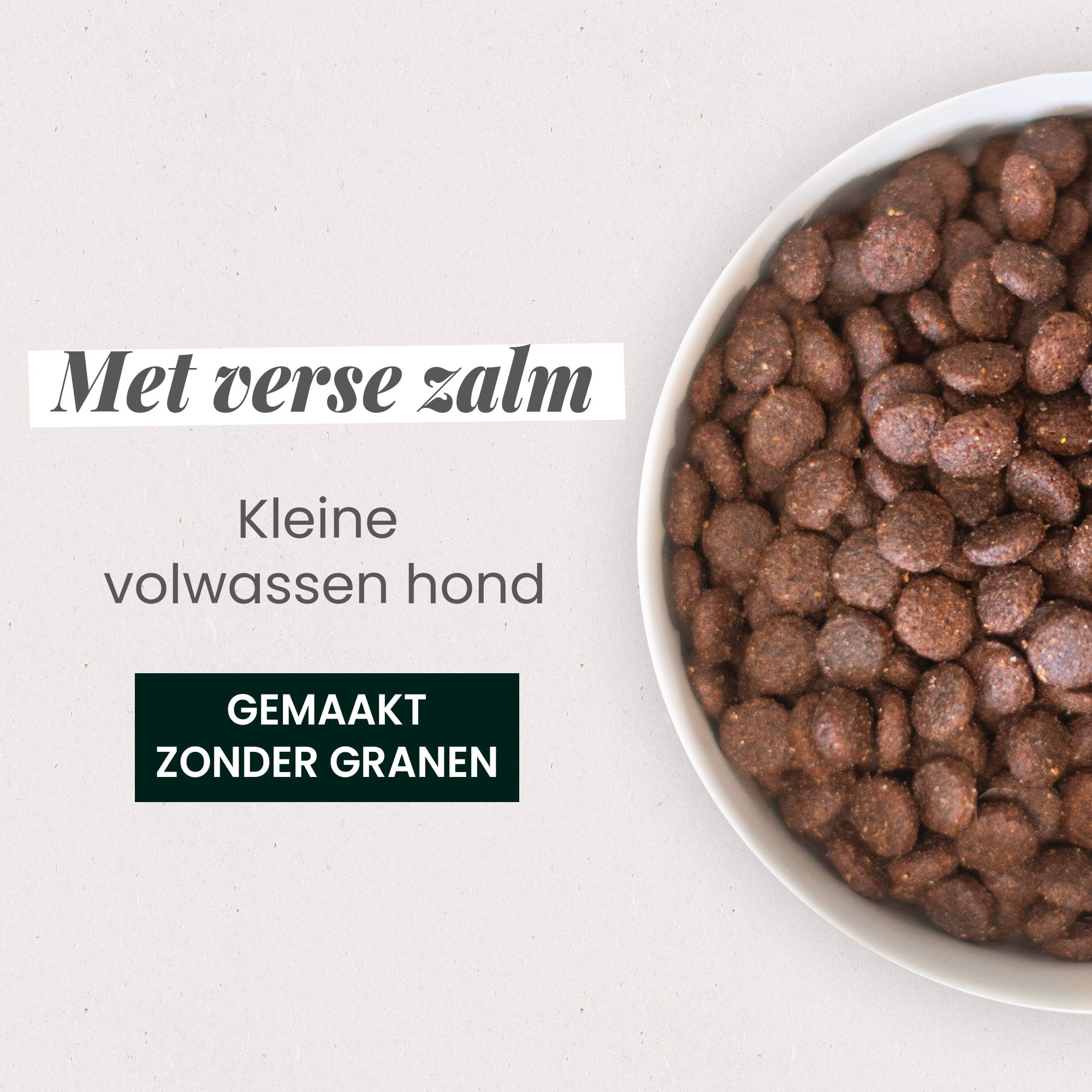 Kom met natuurlijke verse zalmkroketten voor kleine volwassen honden close-up