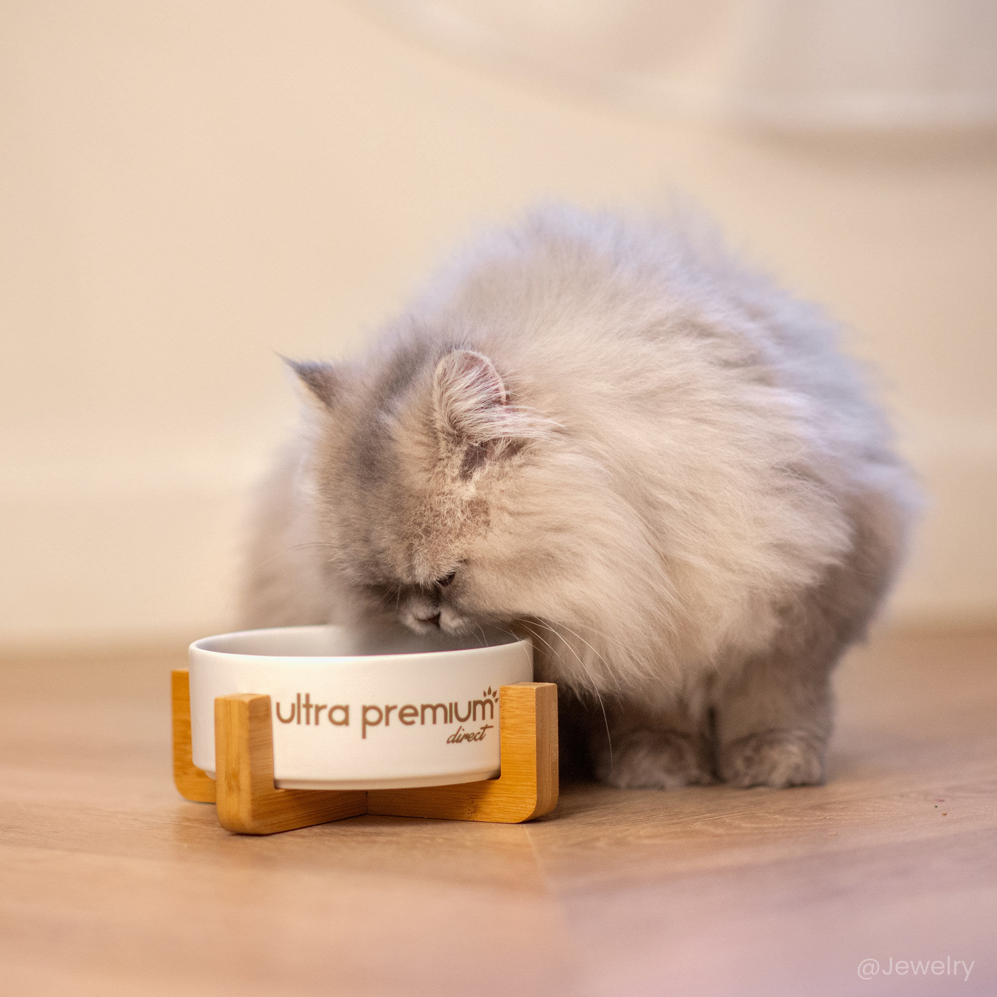 Grijze kat eet graanvrije kittenbrokjes uit een kom, met details over de grootte en de veterinaire samenstelling