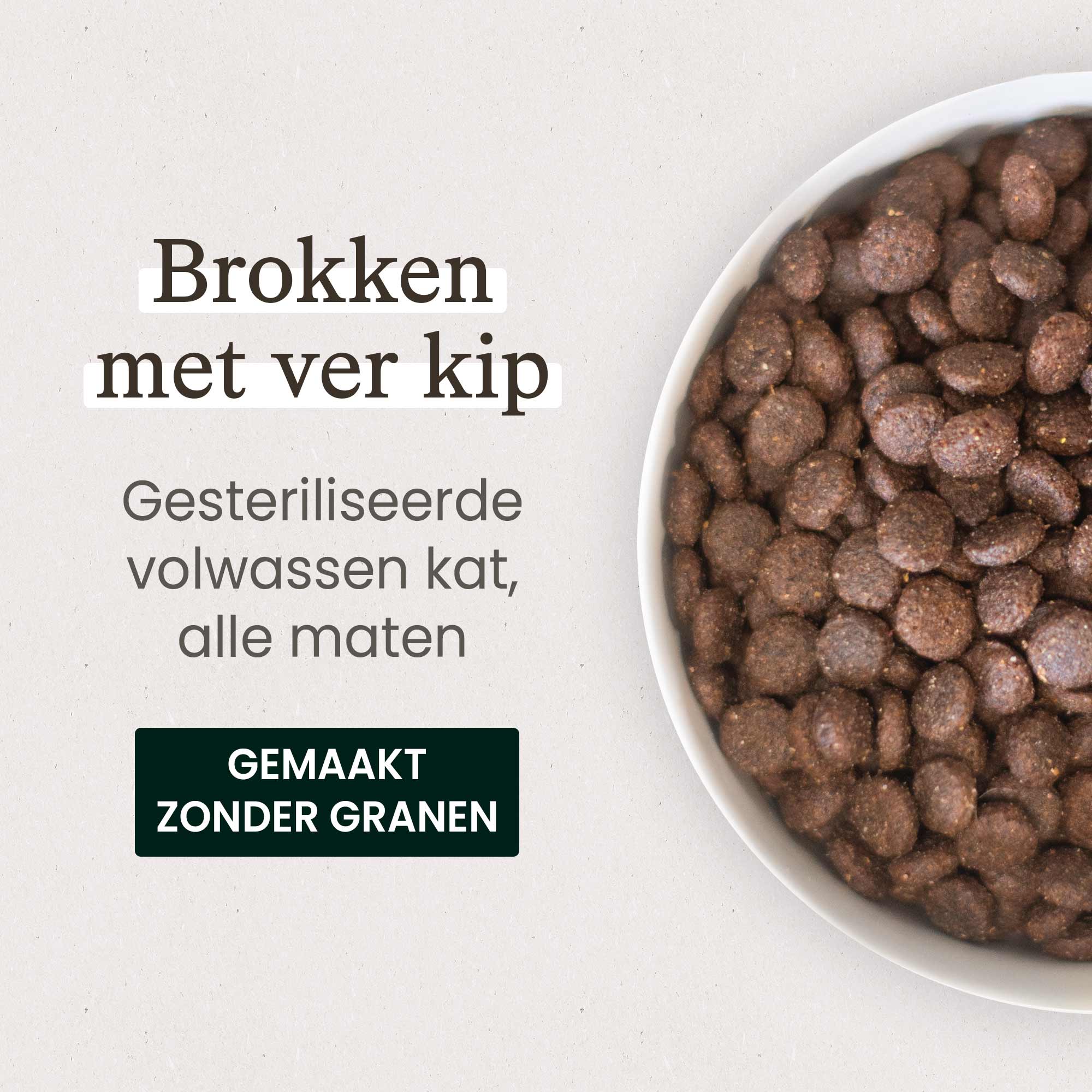 Kom met graanvrije brokken met verse kip voor gesteriliseerd volwassen kat close-up