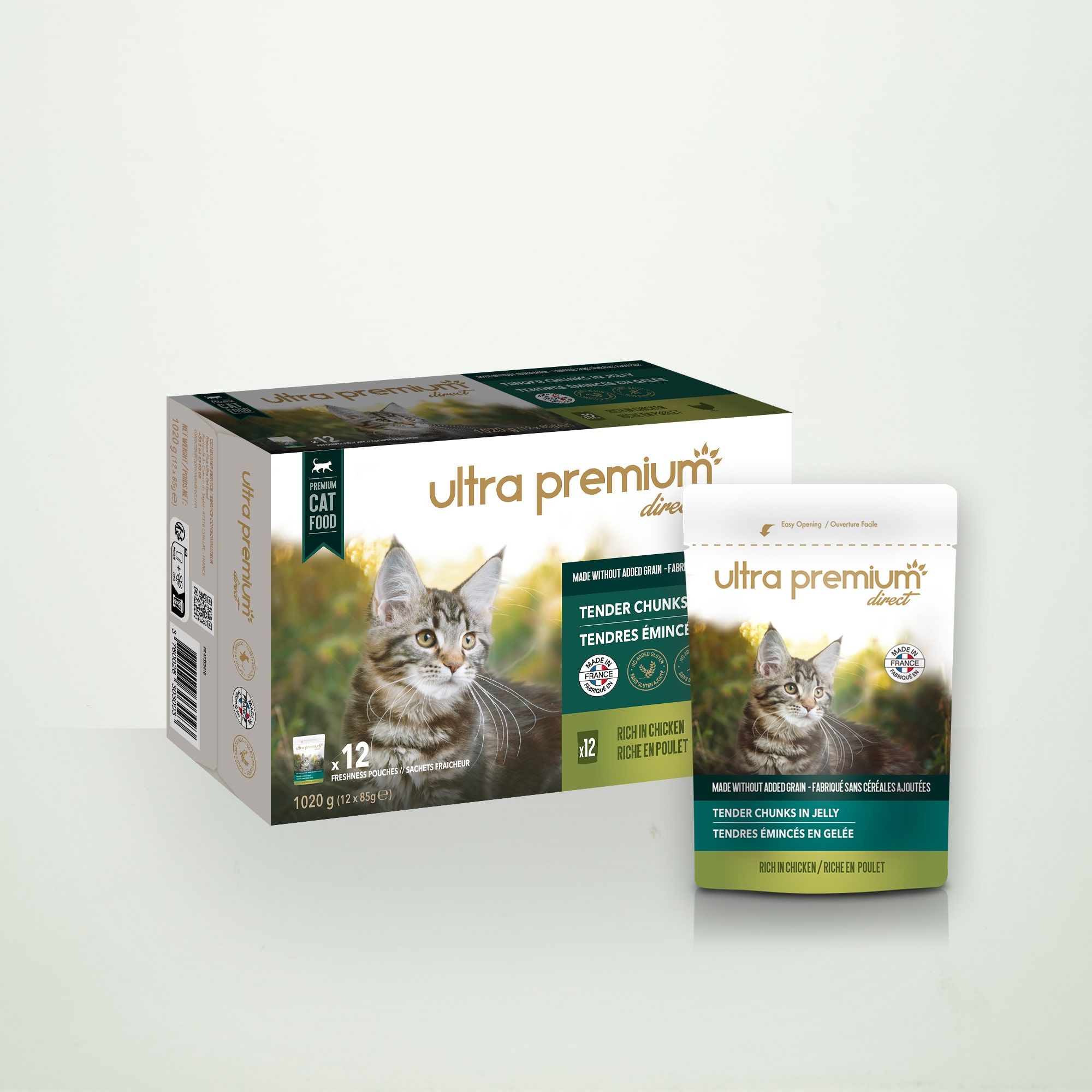 Gesneden graanvrije gelei voor kat met kip op een lichtgroene achtergrond