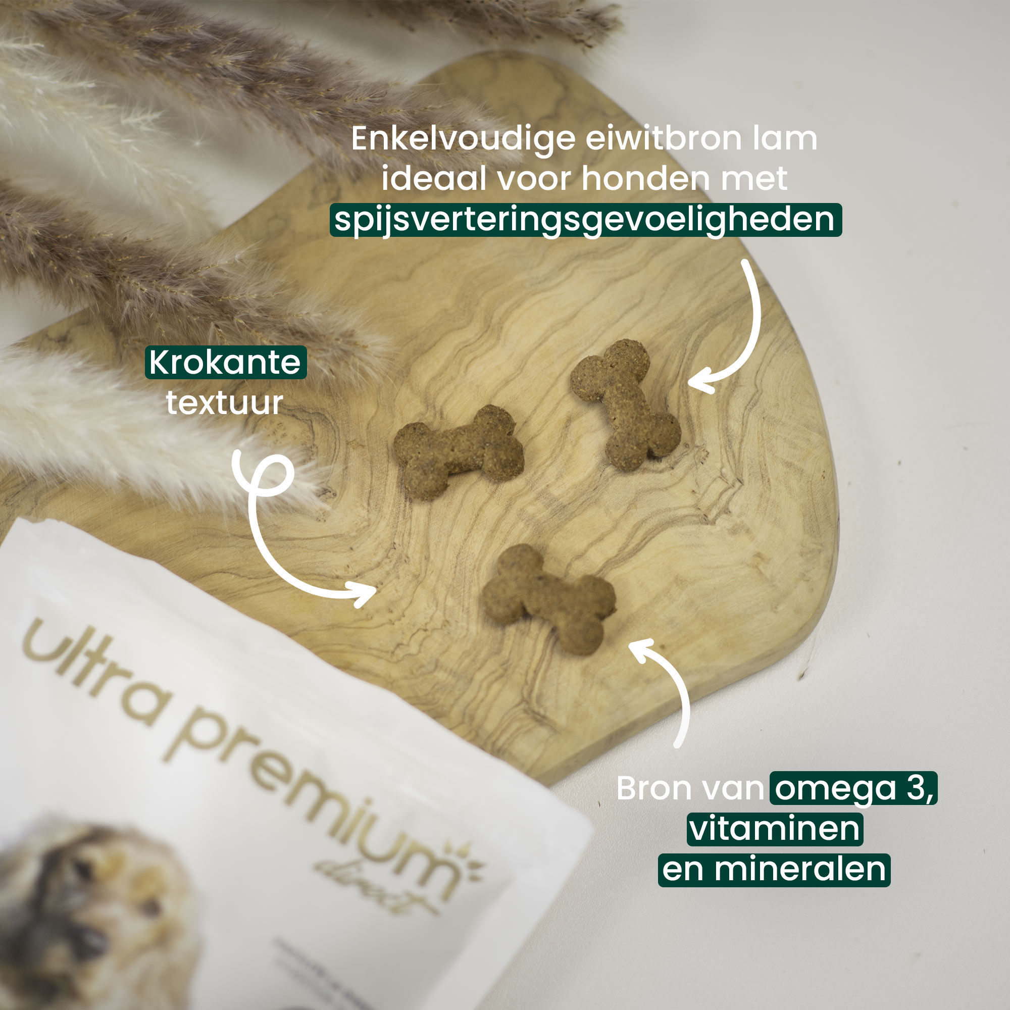 Lamskoekjes voor honden met een gevoelige spijsvertering + voordelen