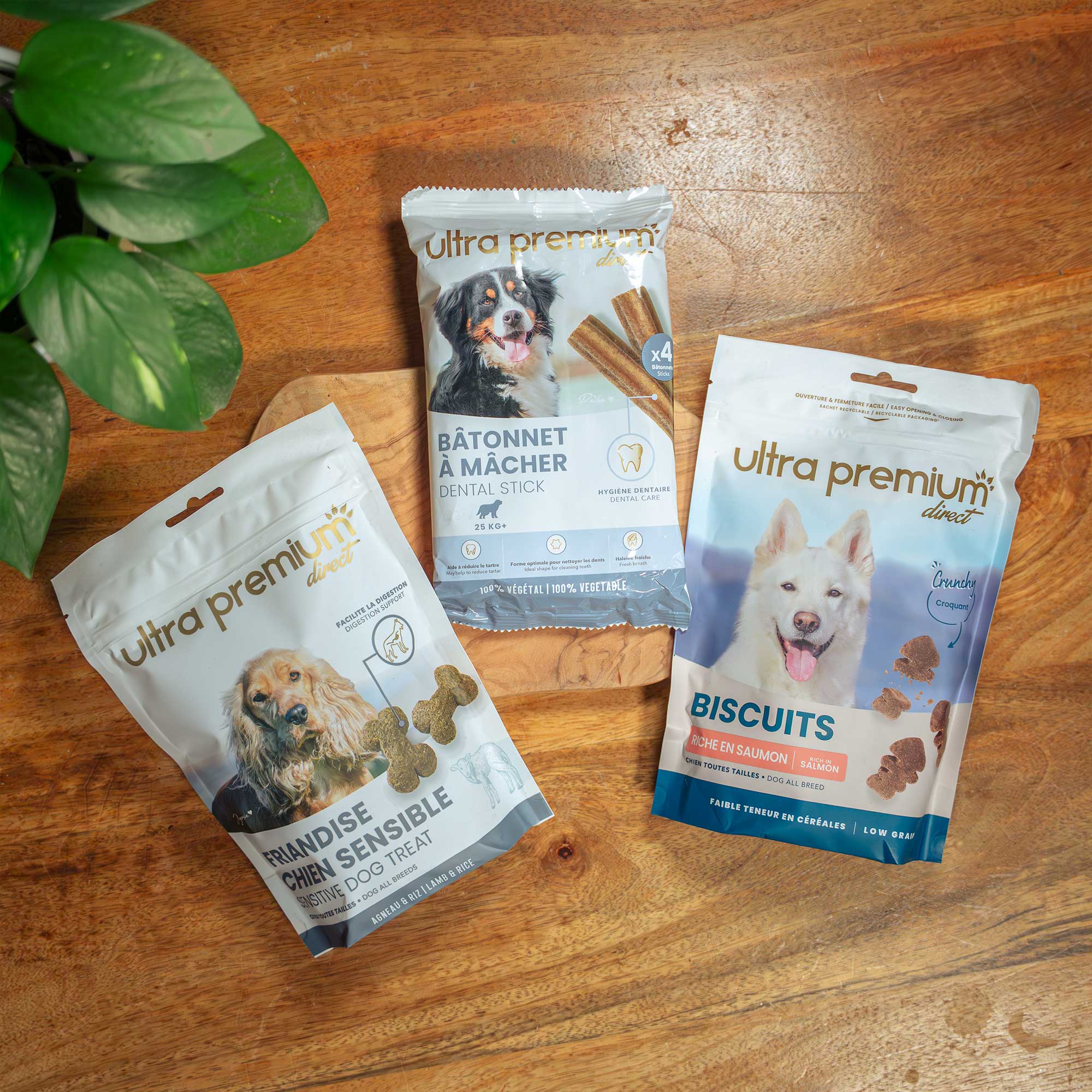 Plezierset voor grote hond +25kg, binnenshuis