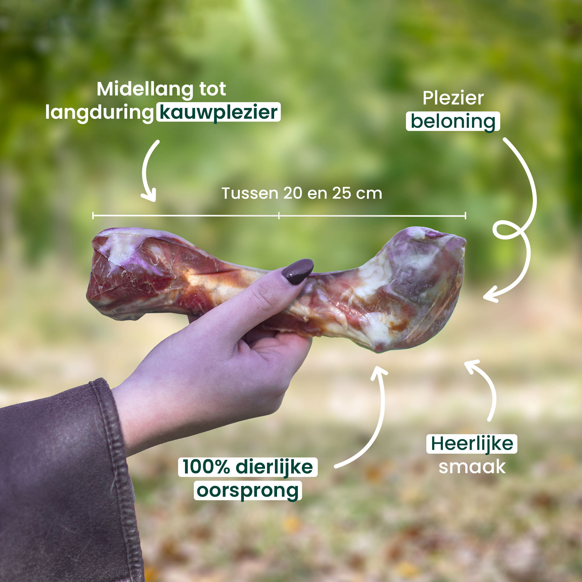 De voordelen van hambot voor honden