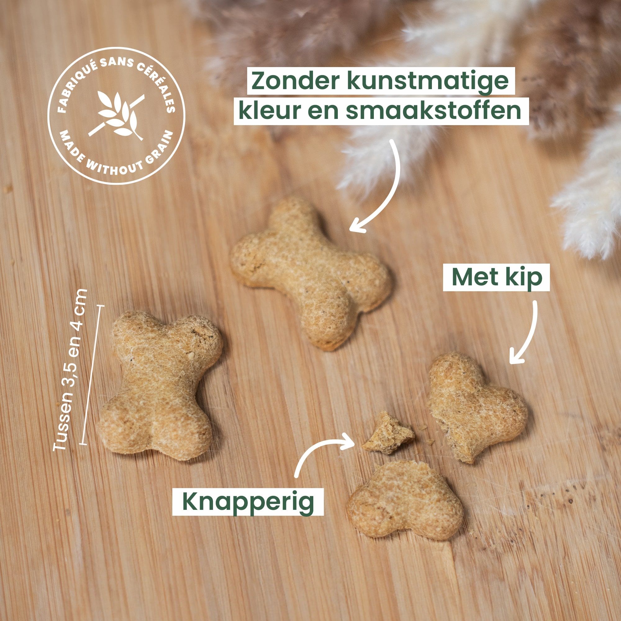 4cm kipkrokantkoekjes