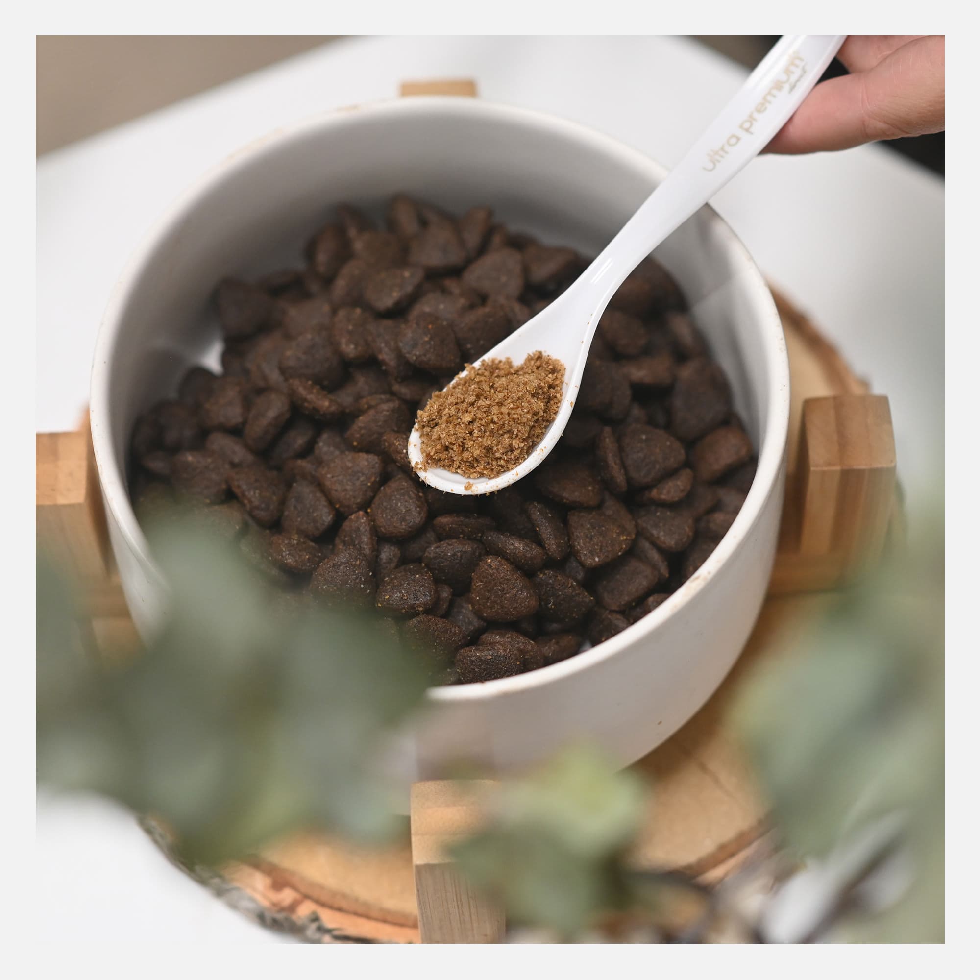 Geweldige aanvulling