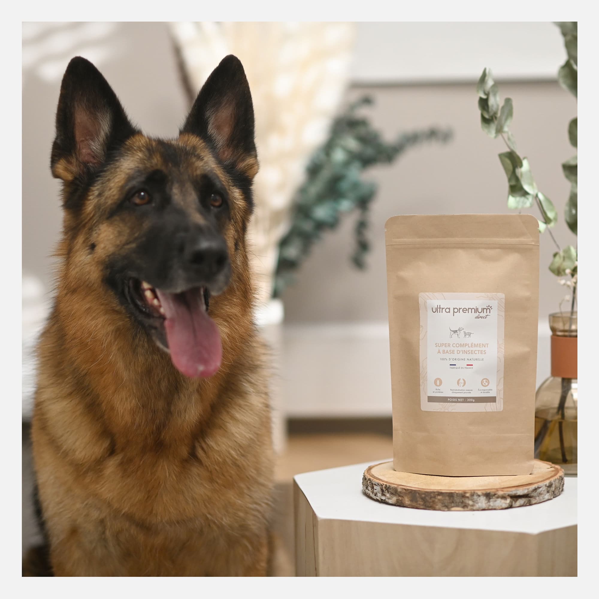 Geweldige aanvulling