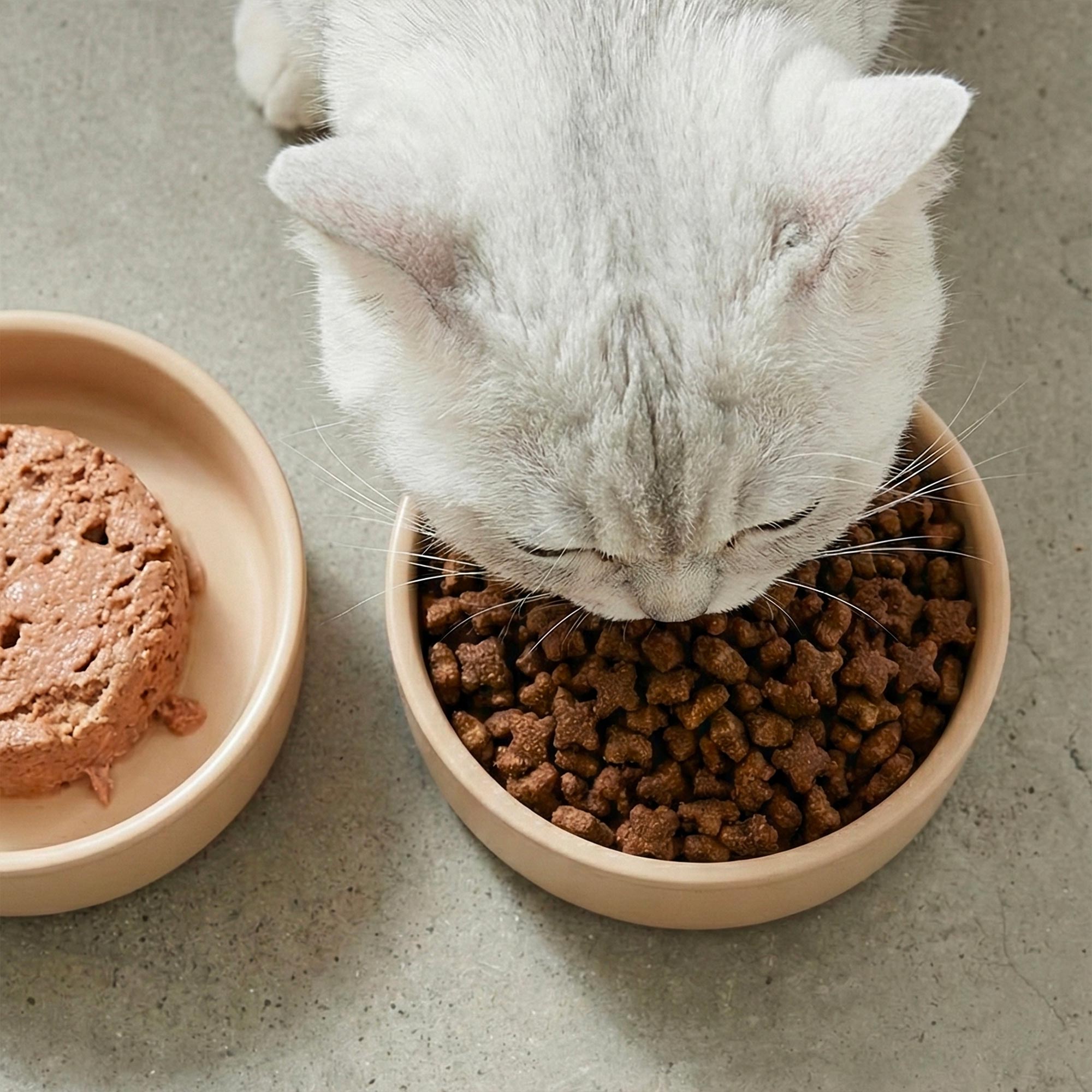 Graanvrije Brokken voor gesteriliseerd volwassen kat in een zak van 3 kg op een witte achtergrond