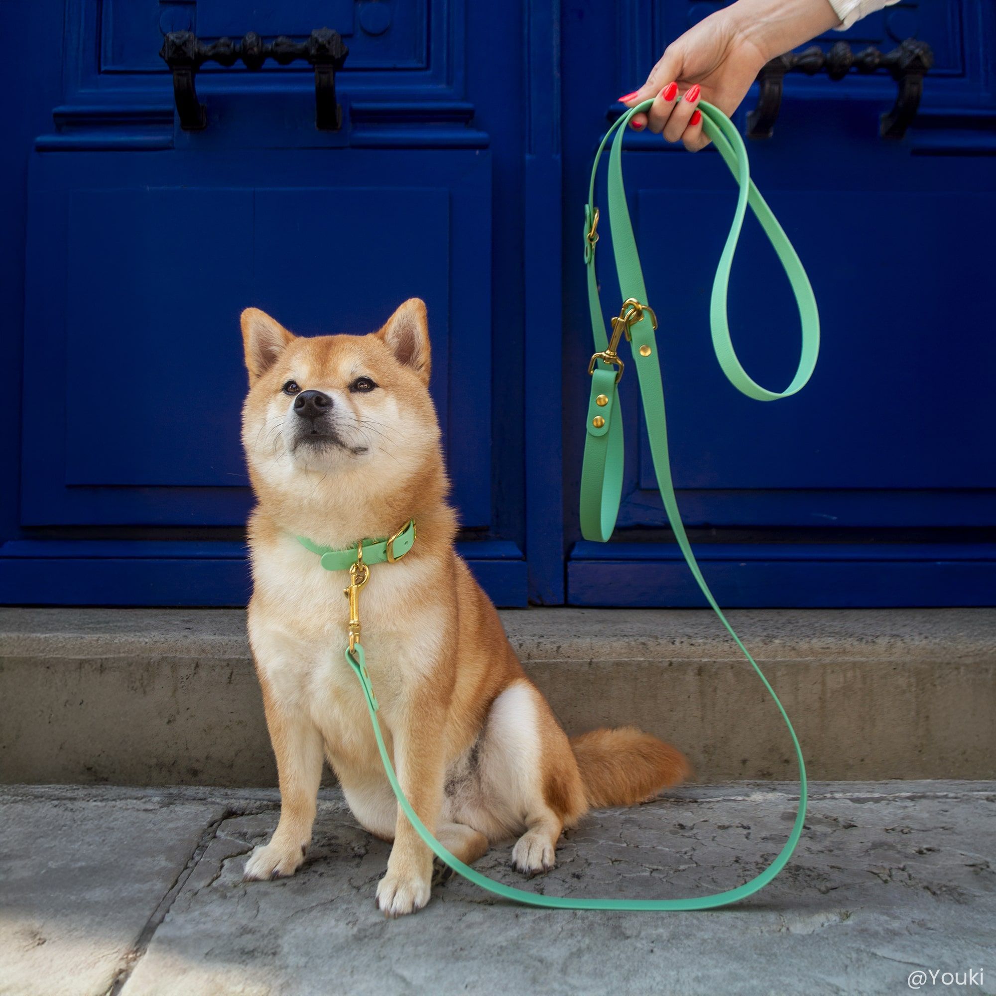 Shiba Inu met saliegroene halsband en riem Fidèle Paris in samenwerking met Ultra Premium Direct