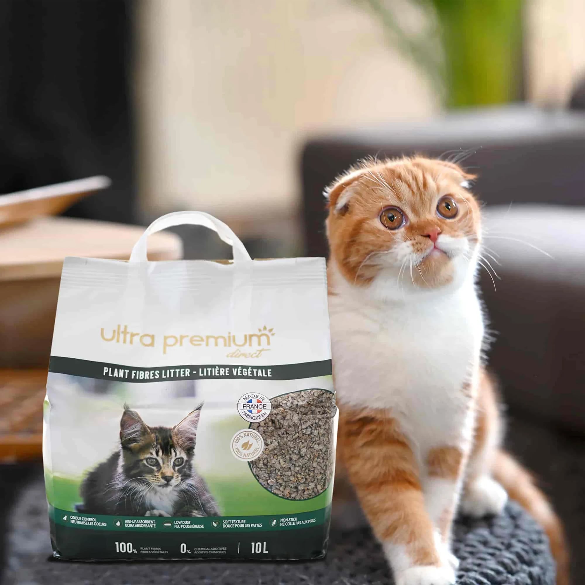 Wij benadrukken de voordelen en textuur van plantaardige kat