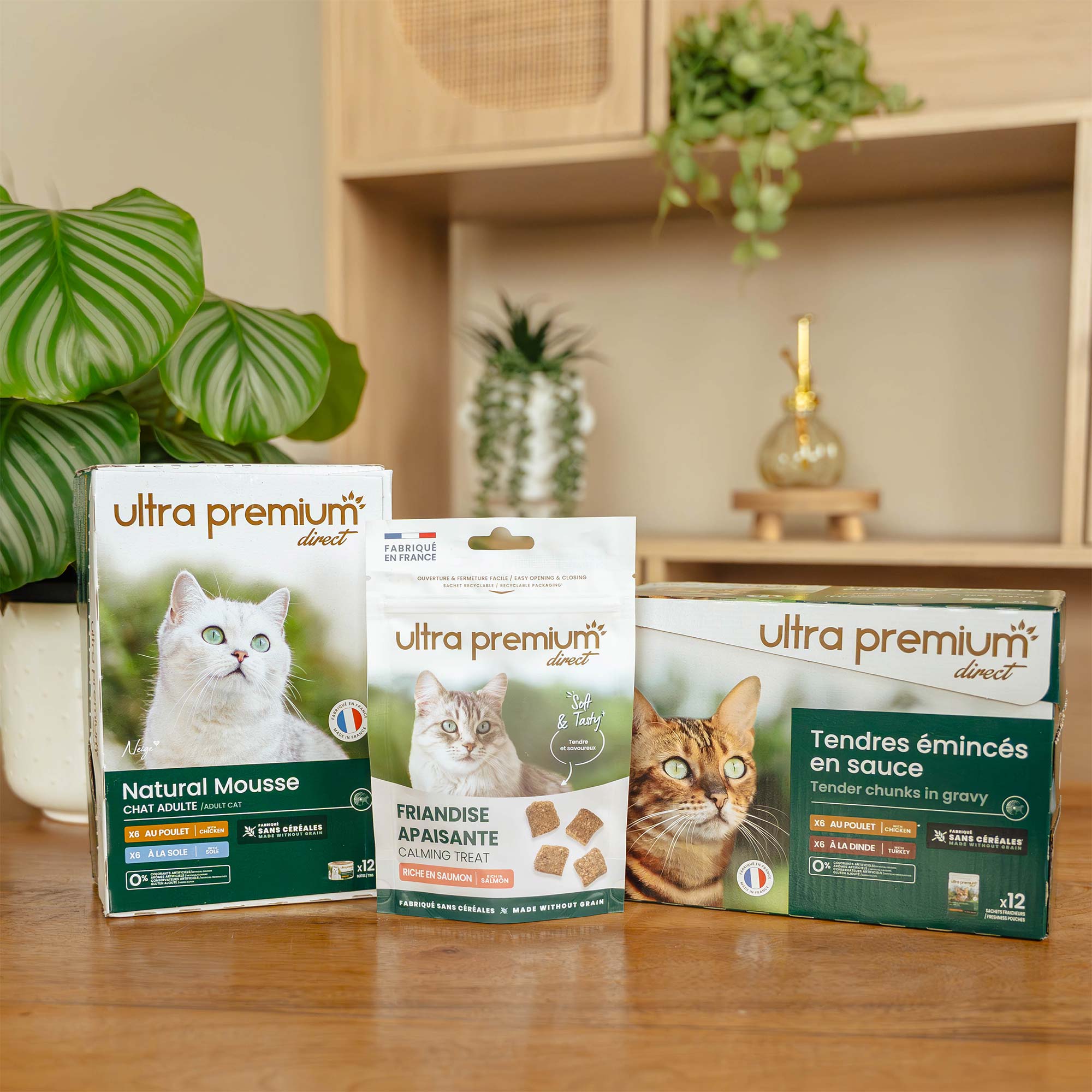 Plezierset voor kat, binnenshuis