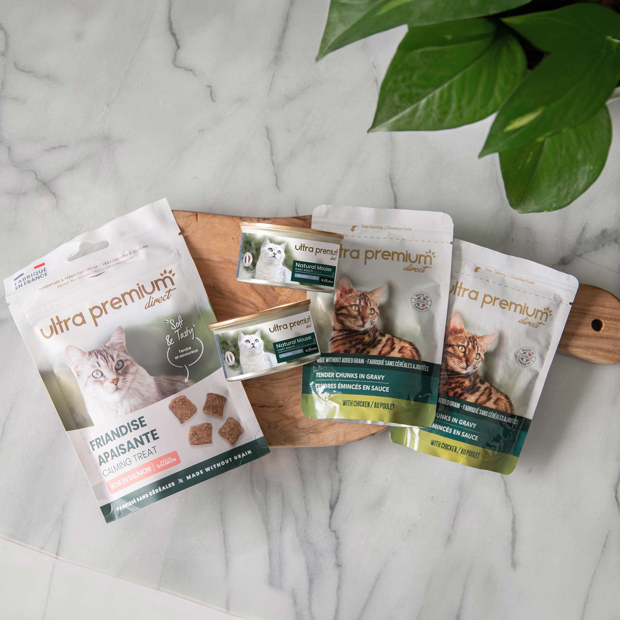 kat, op een houten plank