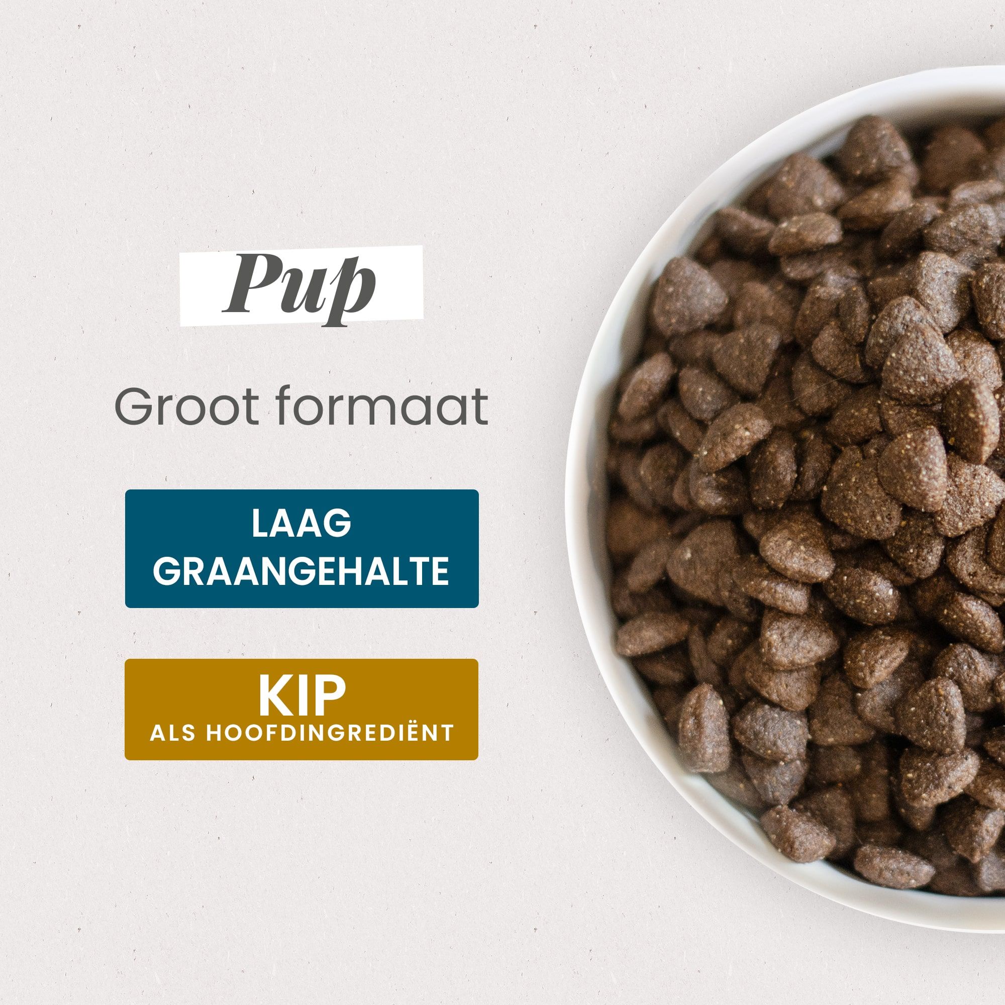 Kom met Super Premium brokken voor grote puppy's in close-up