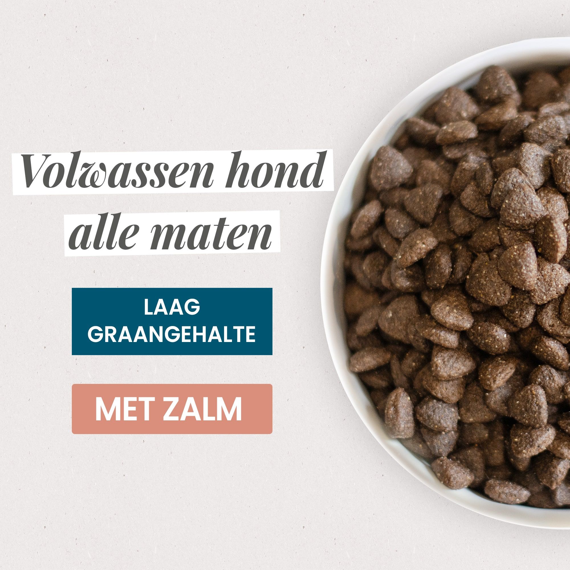 Kom met Super Premium Zalm- en Brokken voor volwassen hond van alle groottes in close-up