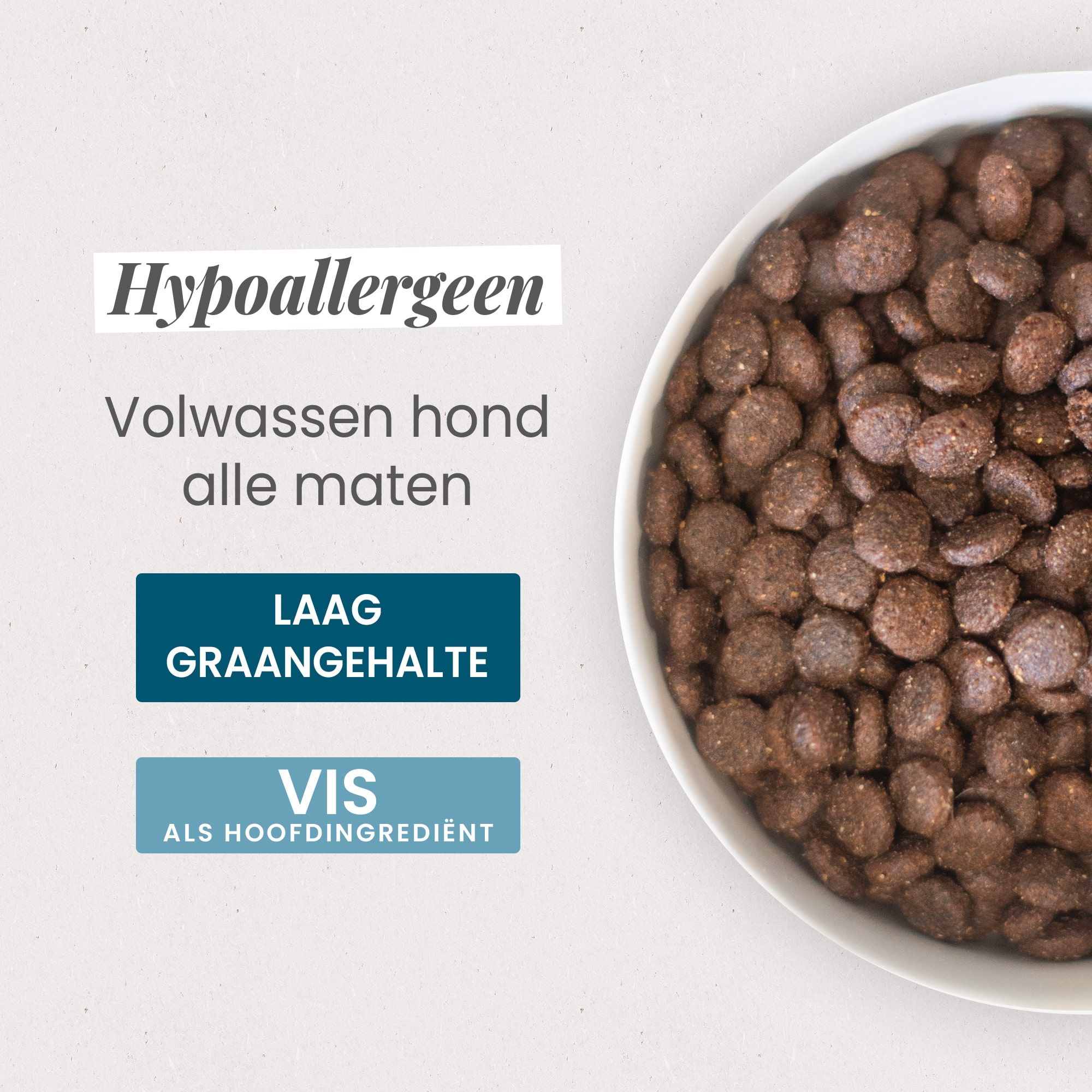 Kom met Brokken voor hypoallergene volwassen hond van alle groottes in close-up