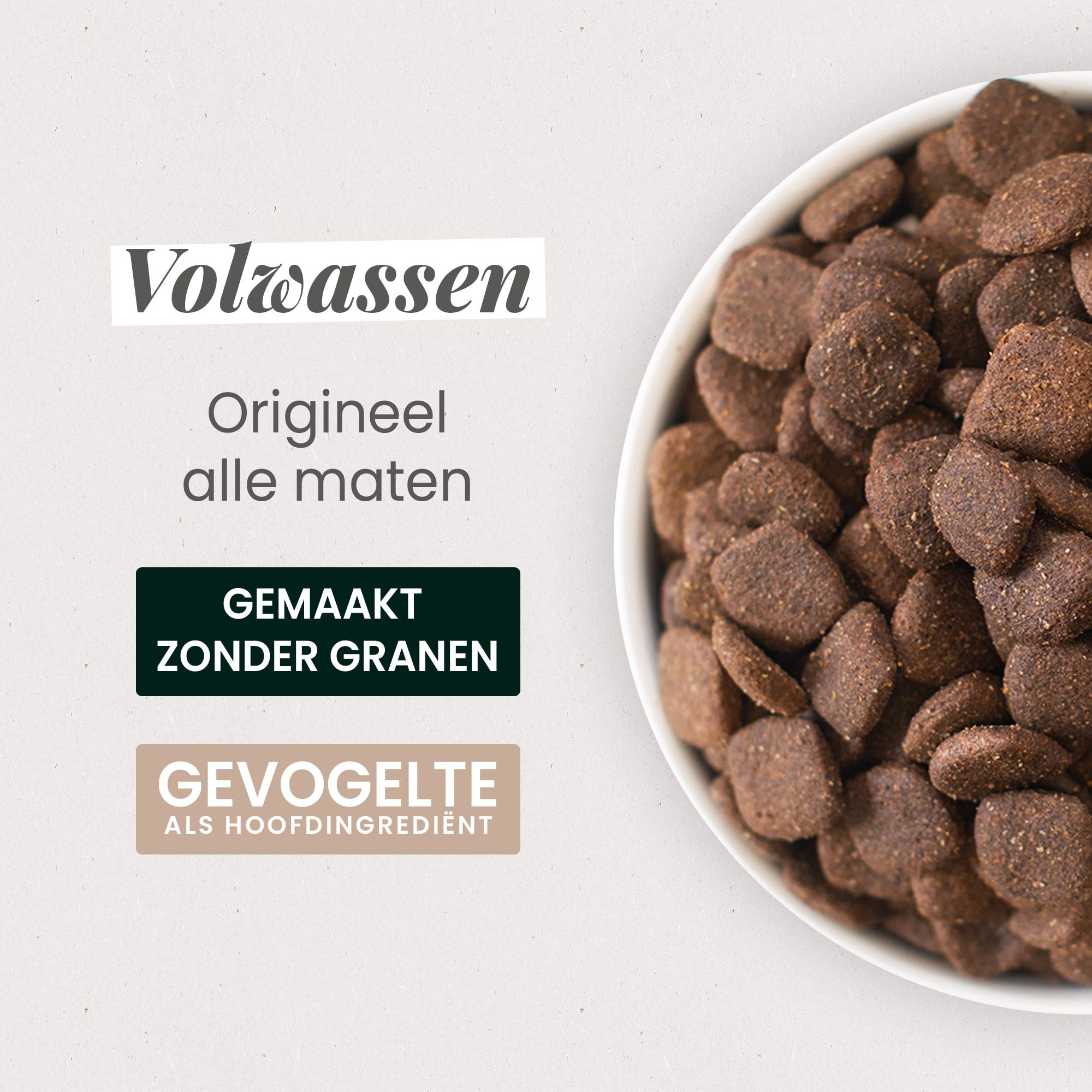 Close-up van een kom met graanvrije brokken voor volwassen honden