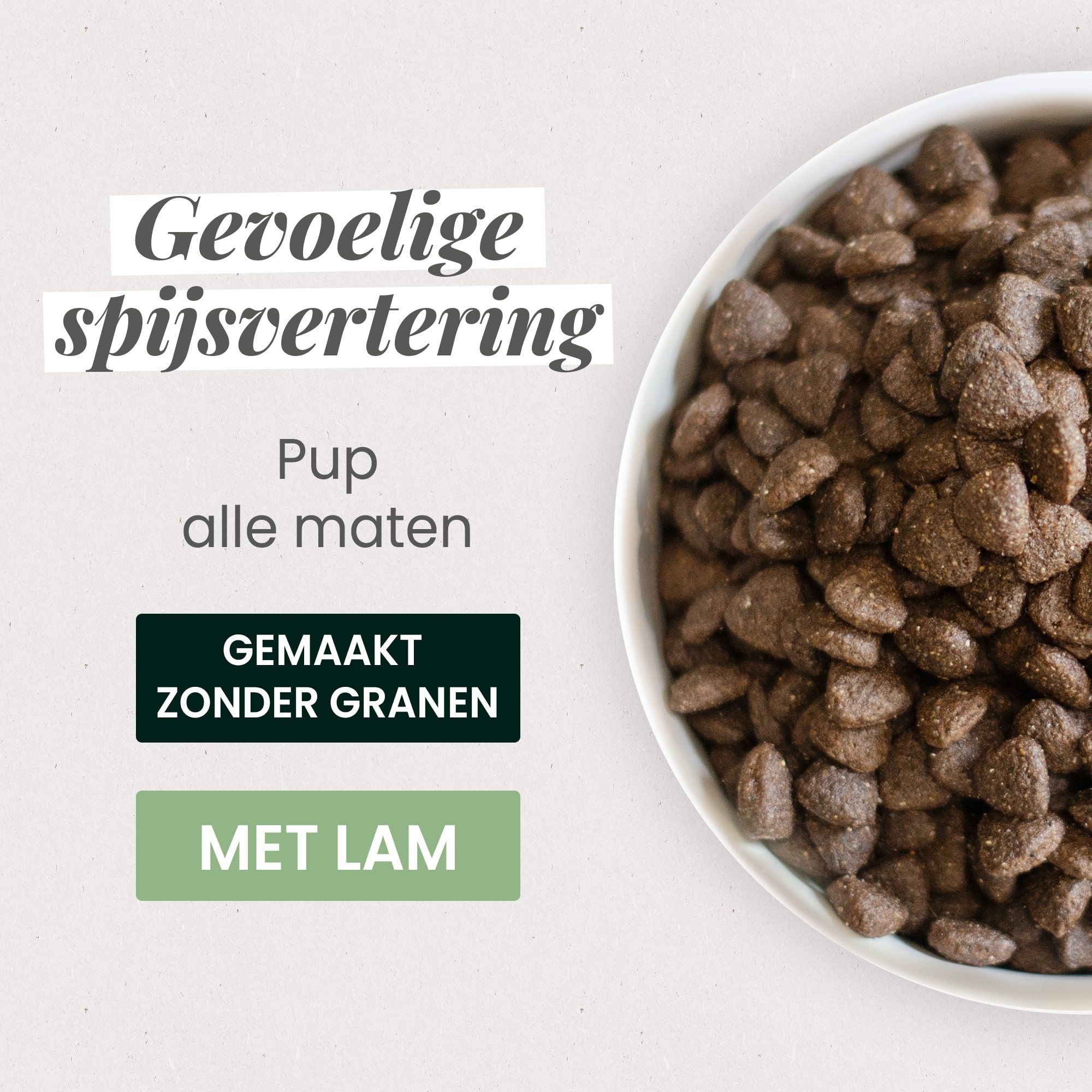 Kom met graanvrije brokken voor puppy's met een gevoelige spijsvertering in close-up