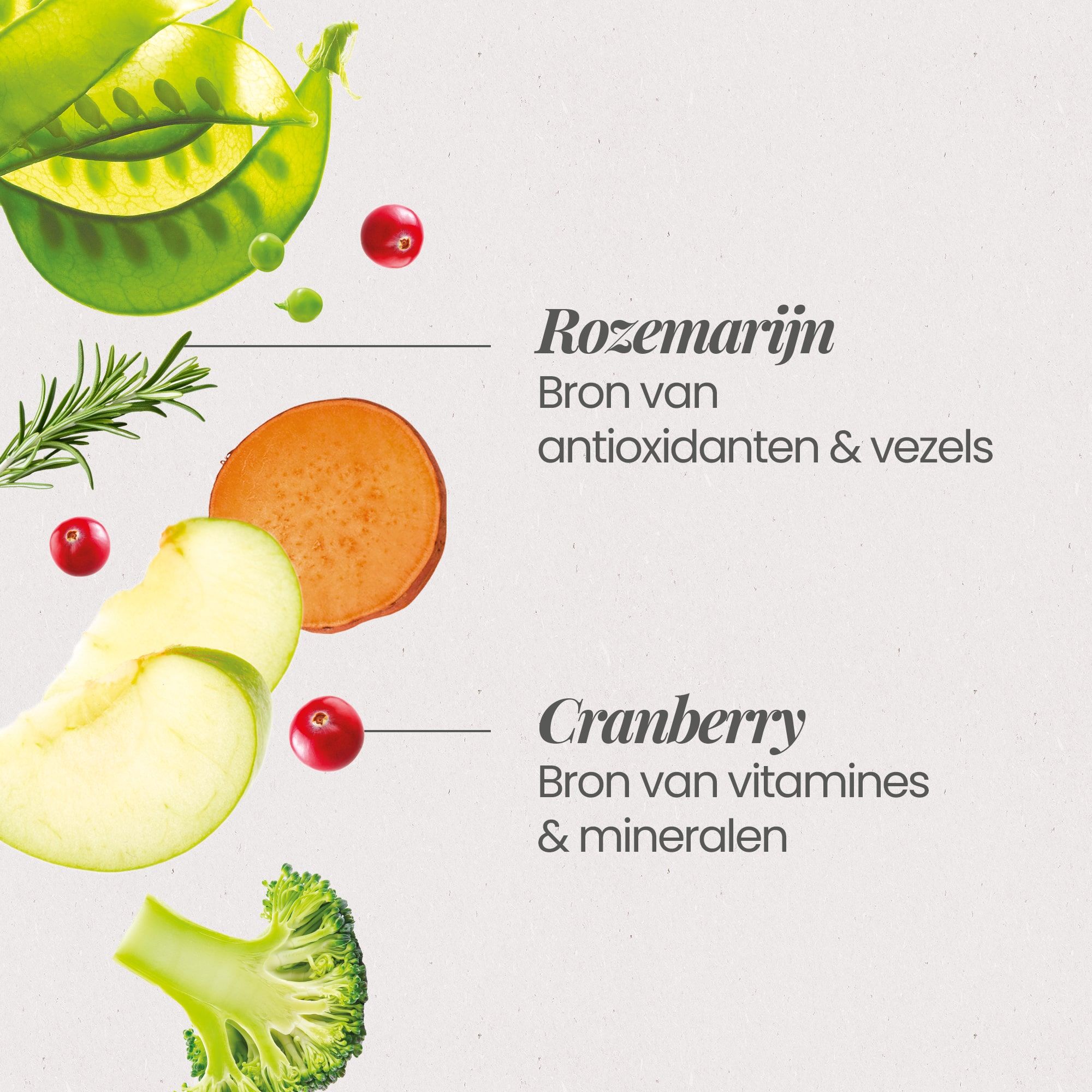 Een kijkje naar de ingrediënten in het recept voor graanvrije kroketten met verse kip