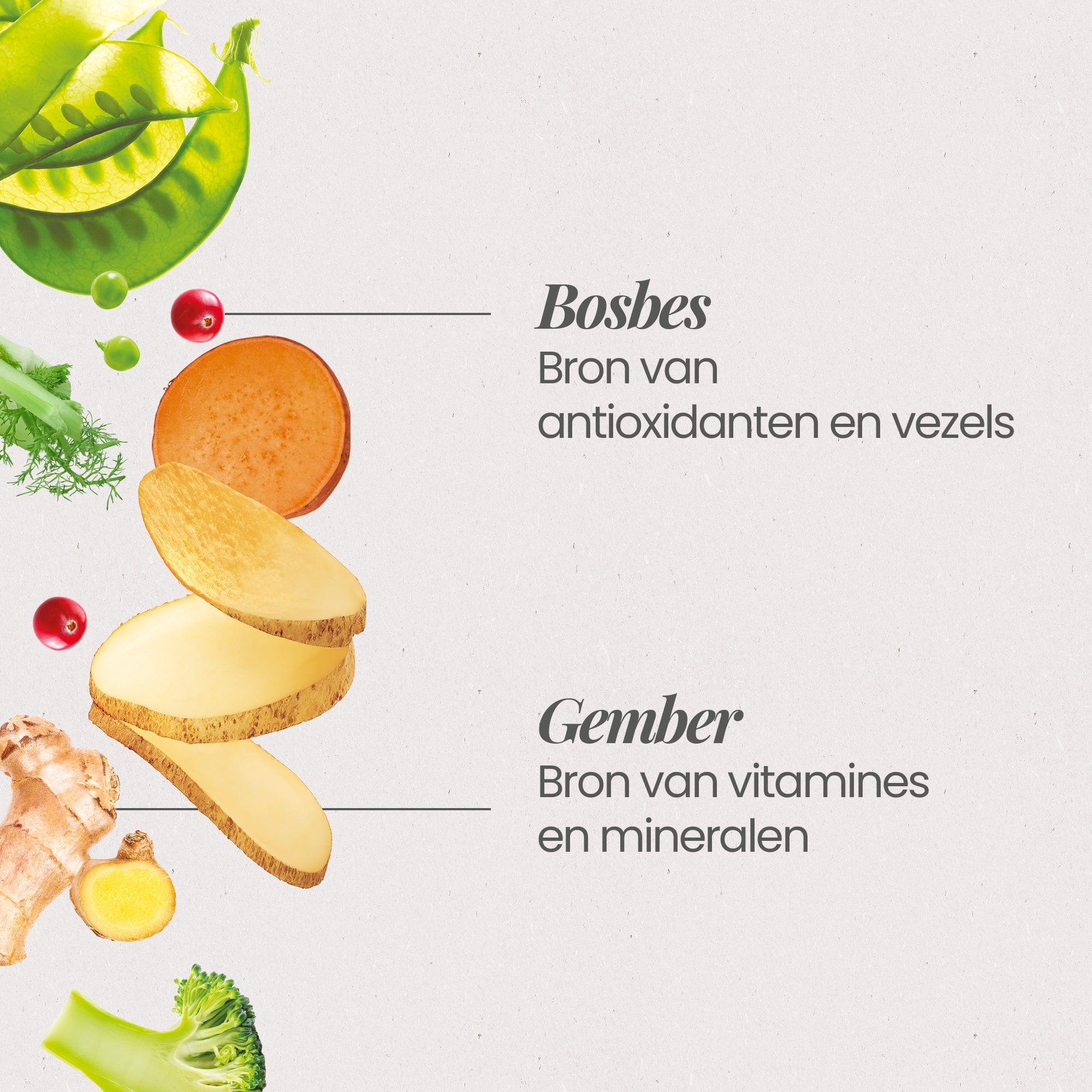 Zoom in op de ingrediënten van het graanvrije recept voor verse brokken voor puppy's