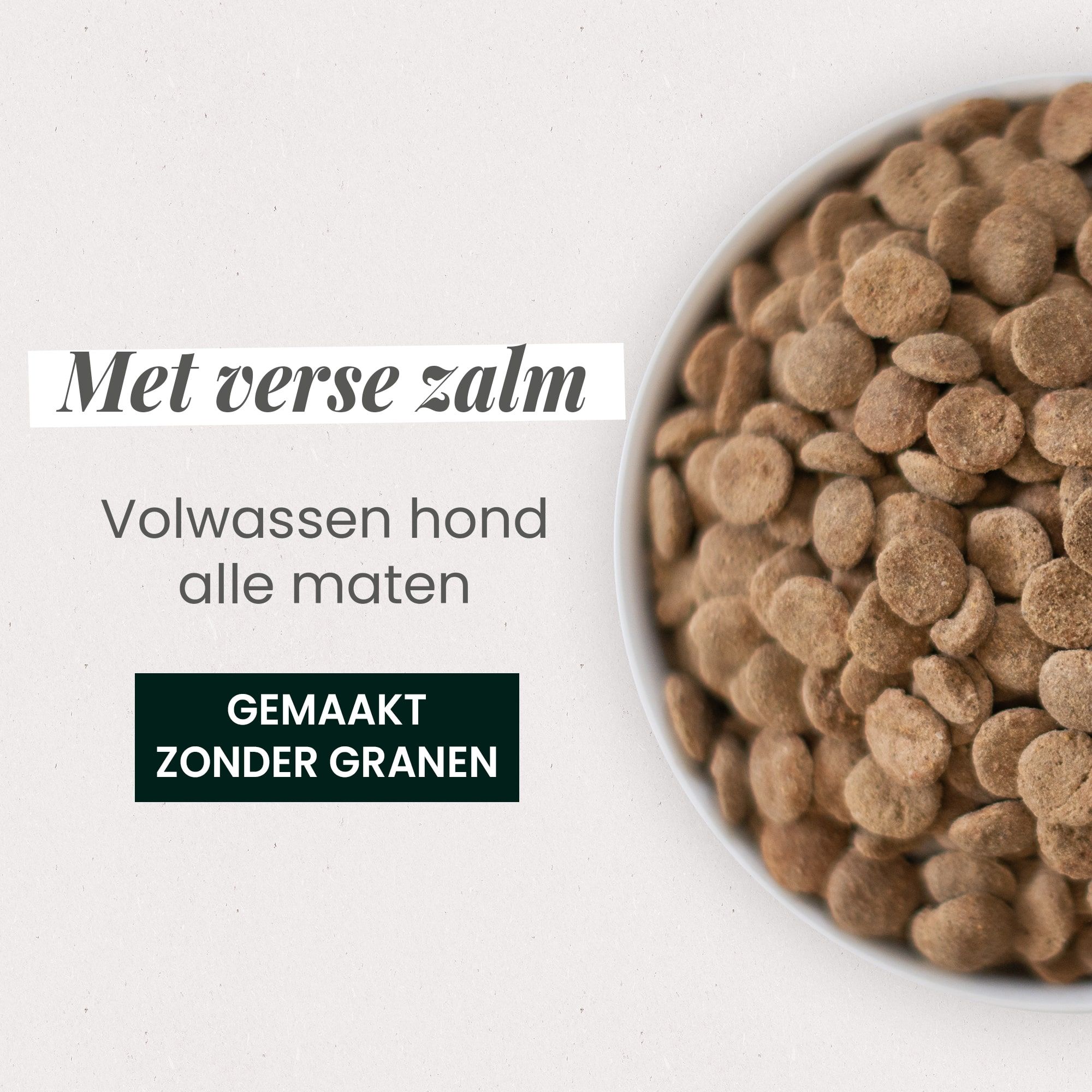 Kom met graanvrije brokken met verse zalm voor volwassen hond close-up