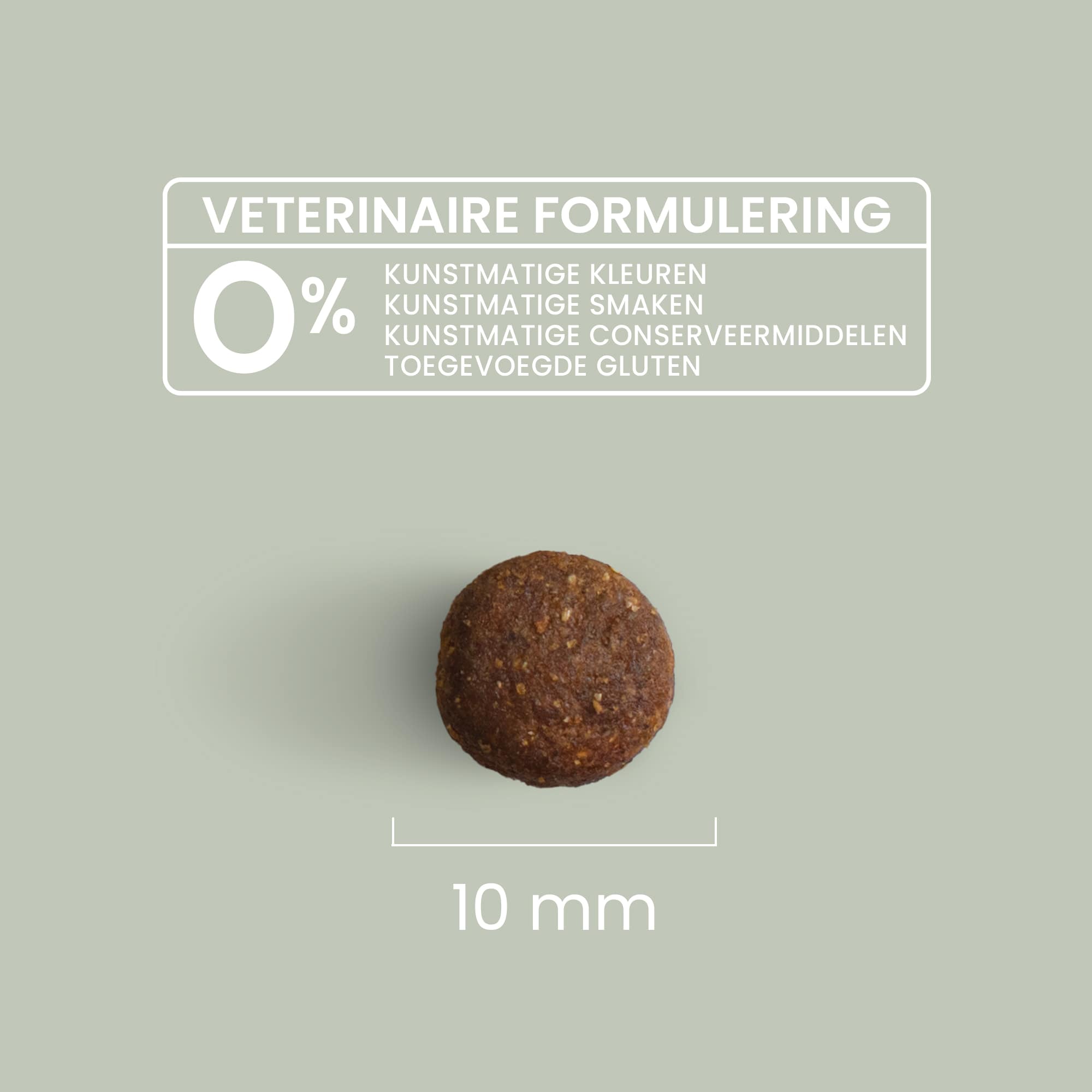 Close-up van een natuurlijke kroket met verse zalm, met details over de grootte en veterinaire formulering