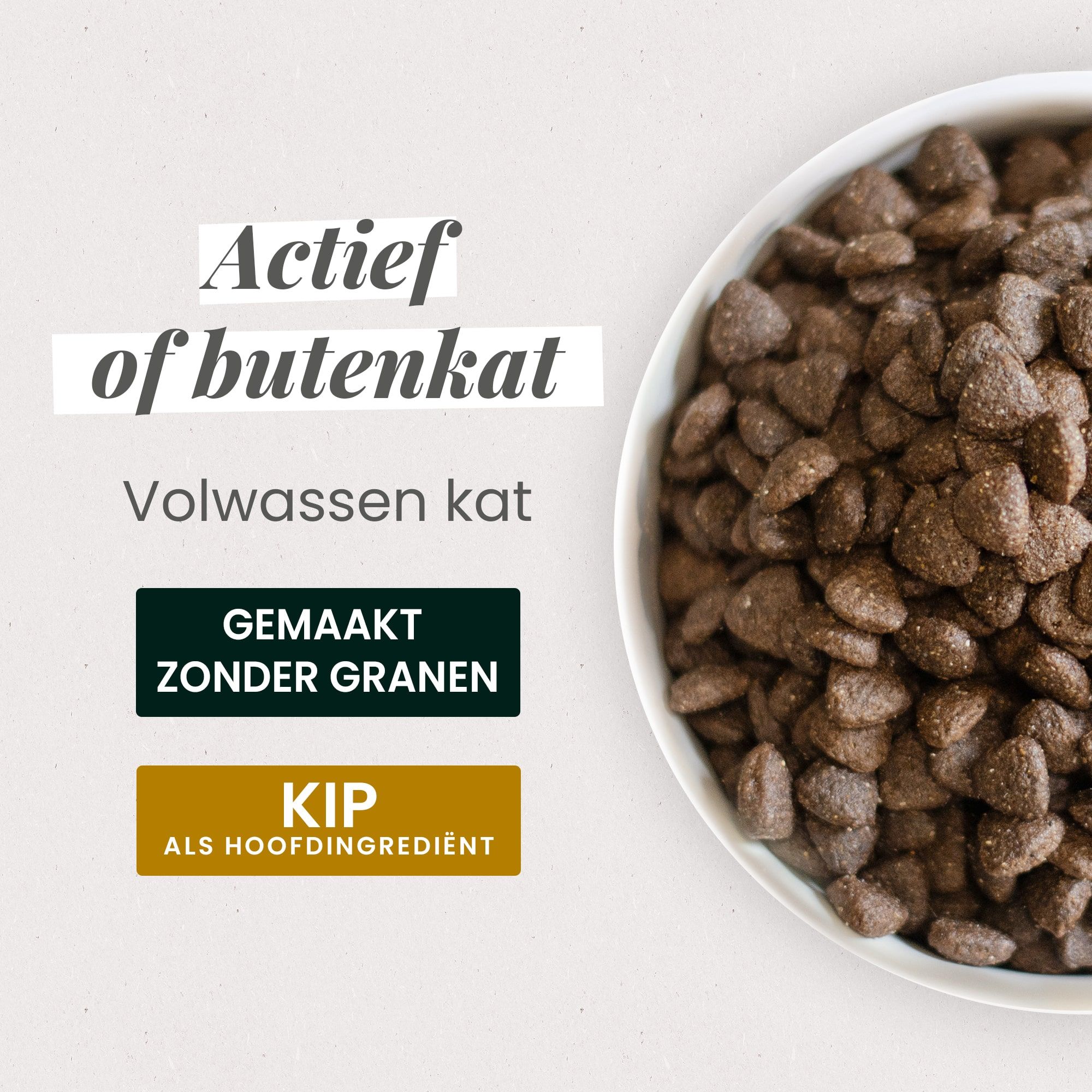 Kom met graanvrije brokjes voor actieve volwassen katten of buitenkatten met kattenvoeding.