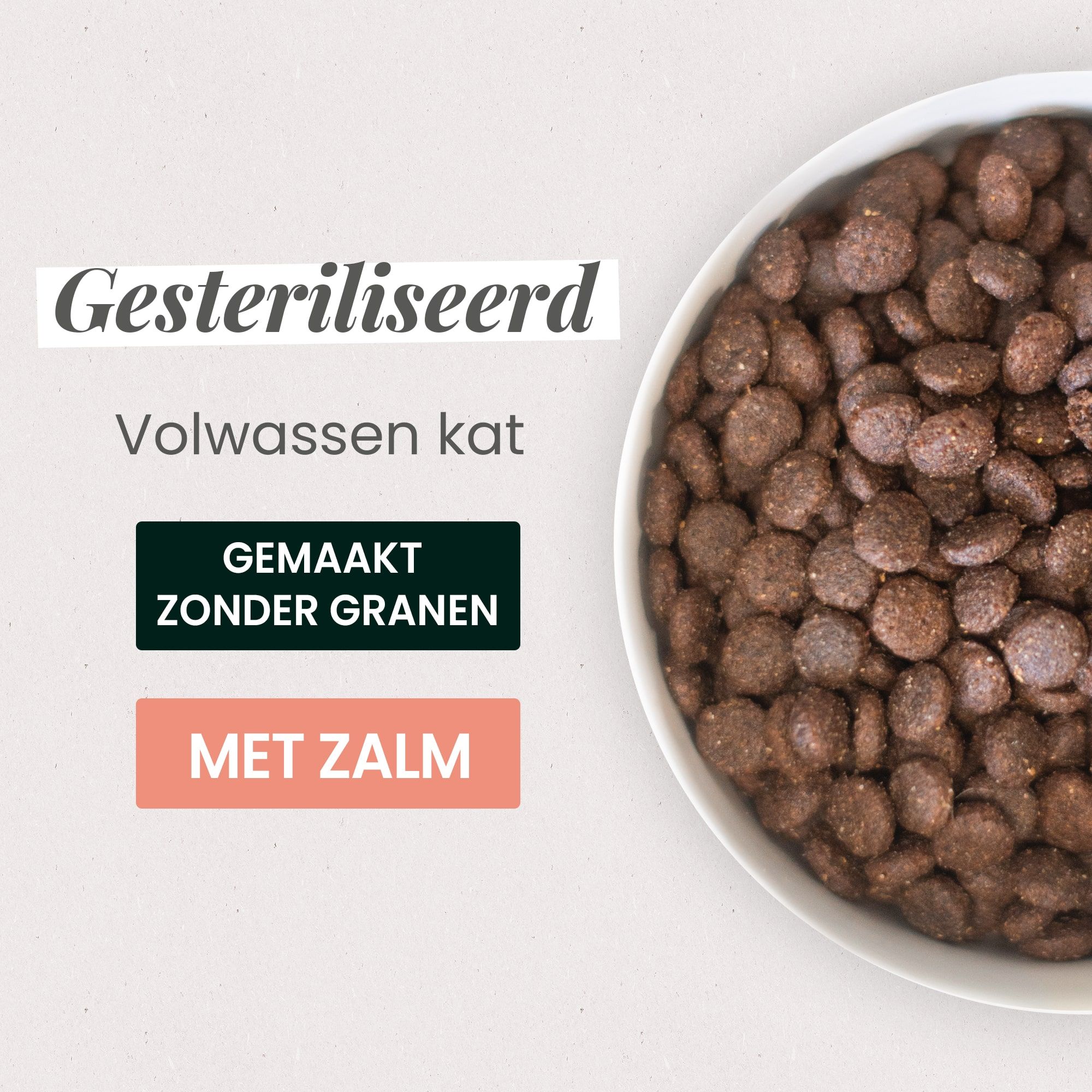 Een nadere blik op een kom graanvrije brokken met zalmsmaak voor gesteriliseerde volwassen katten