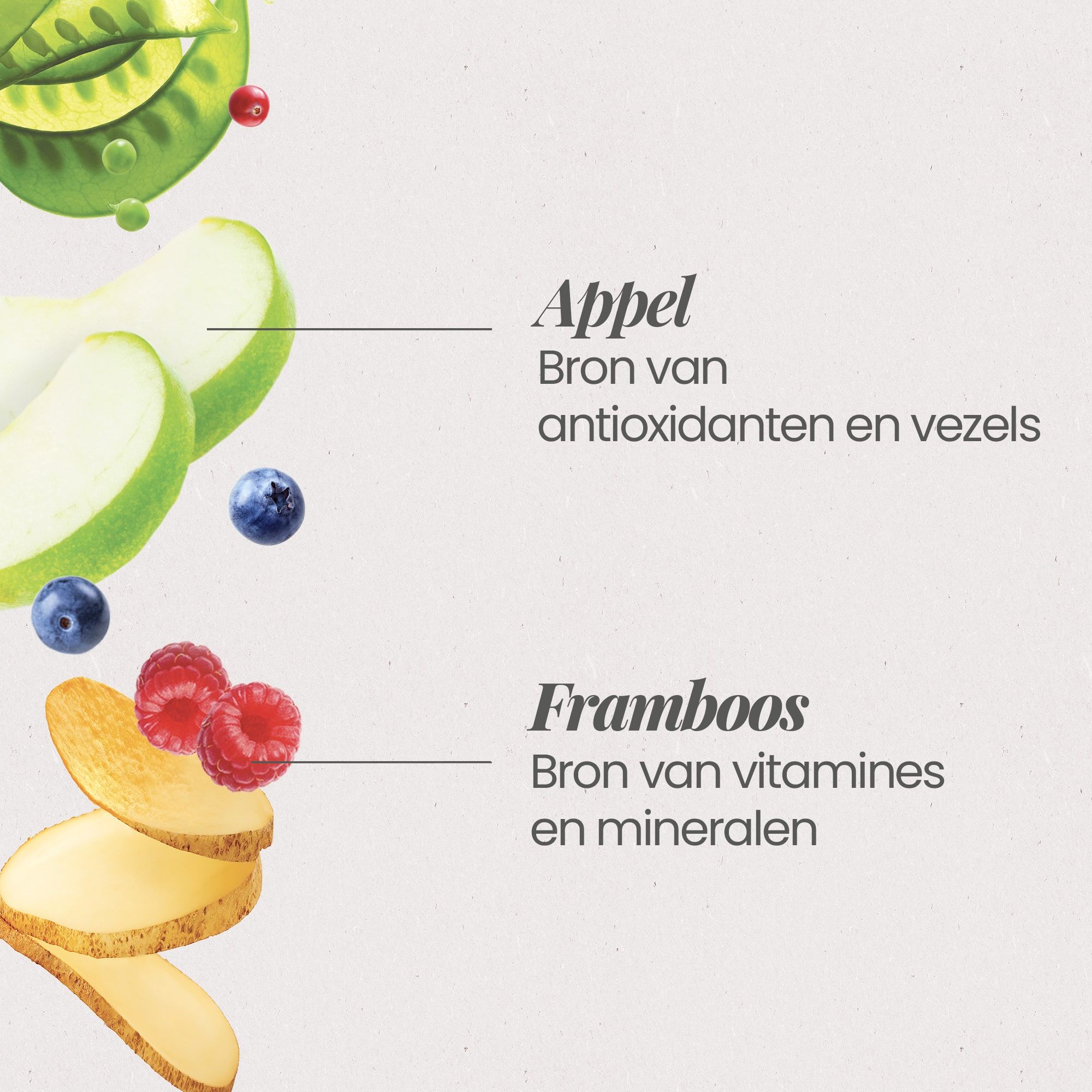 Appelschijfjes en frambozen met de tekst dat appel een bron is van antioxidanten en vezels, en framboos een bron van vitamines en mineralen.