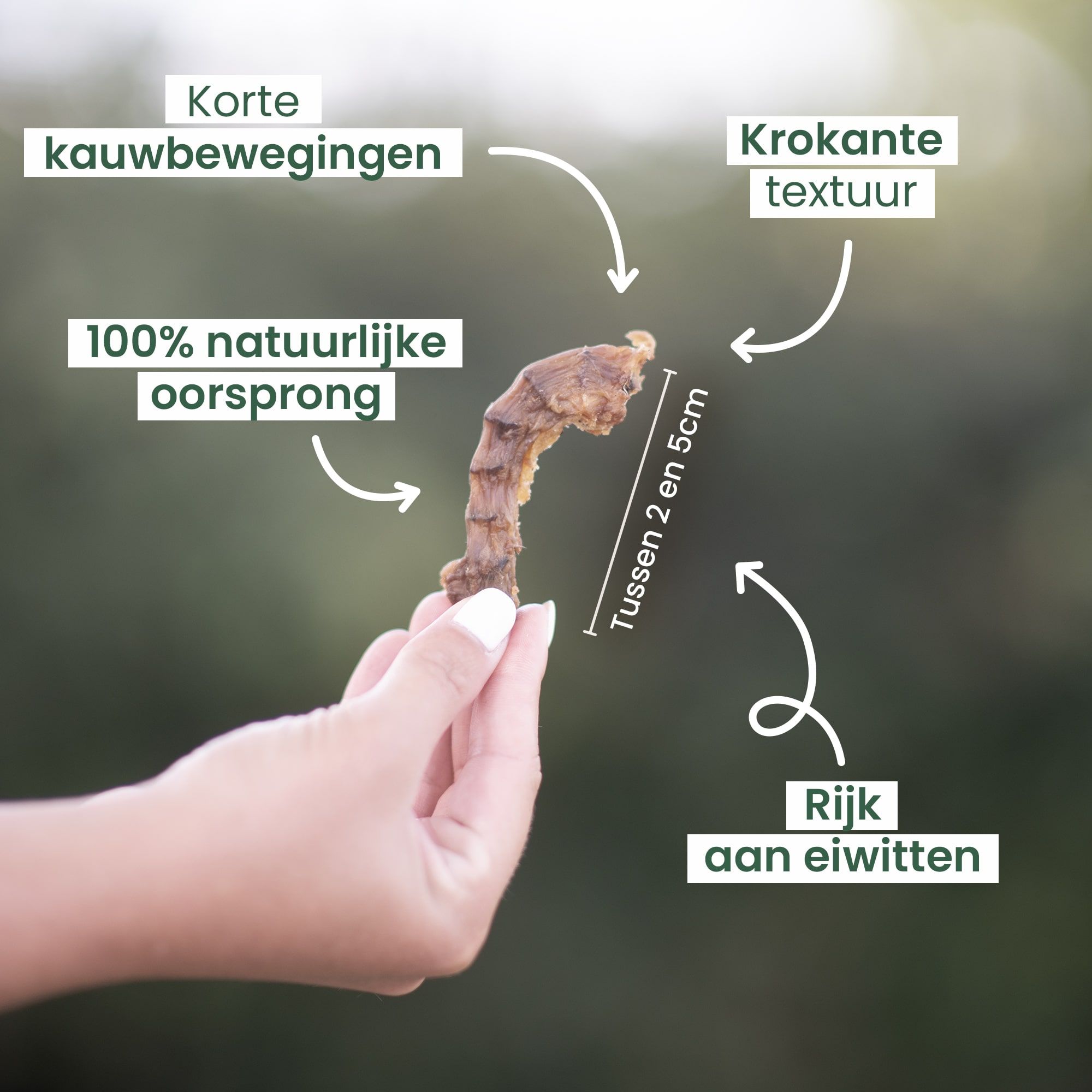 De voordelen van kippennekken voor honden benadrukken