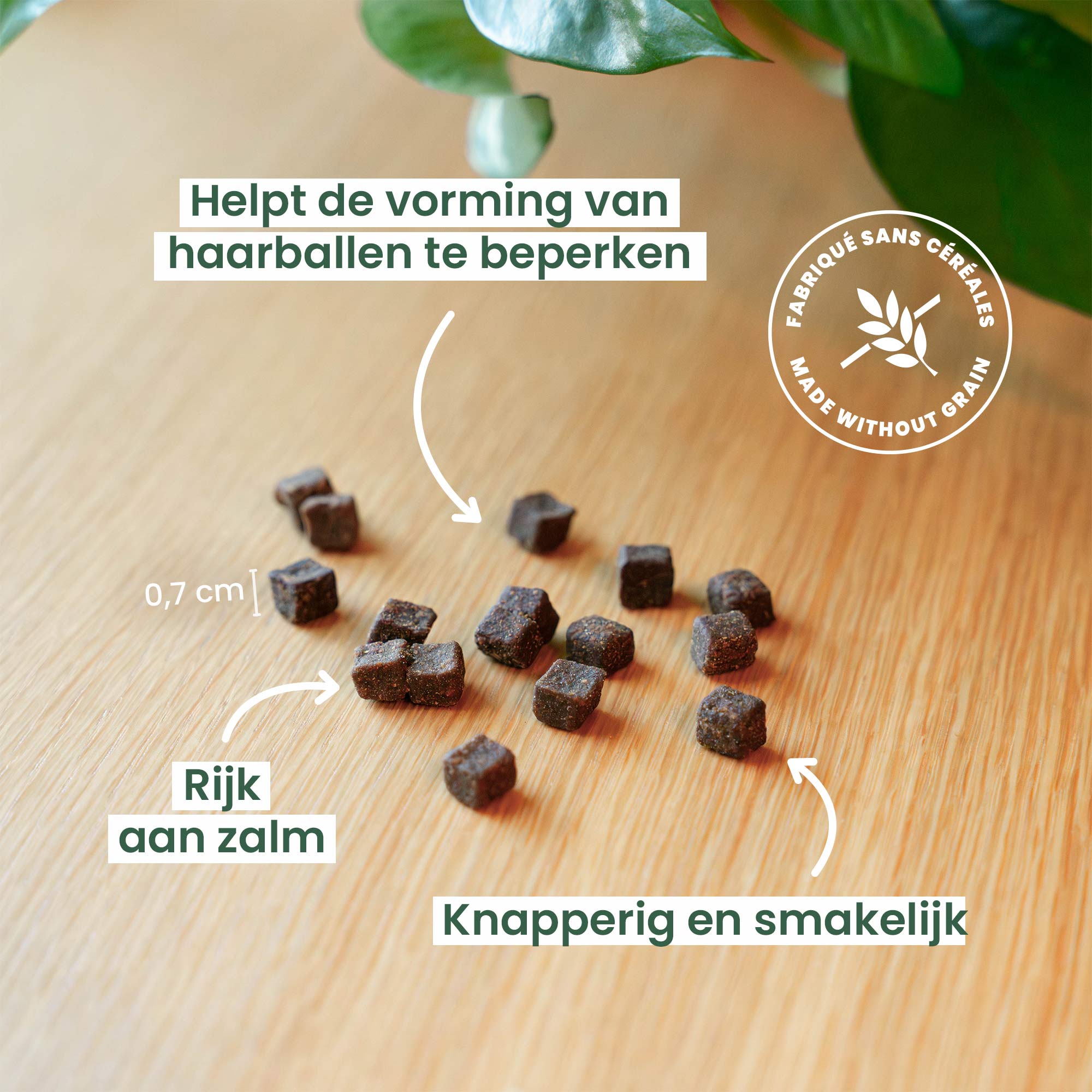 Goed gedaan, snoepjes tegen haarballen