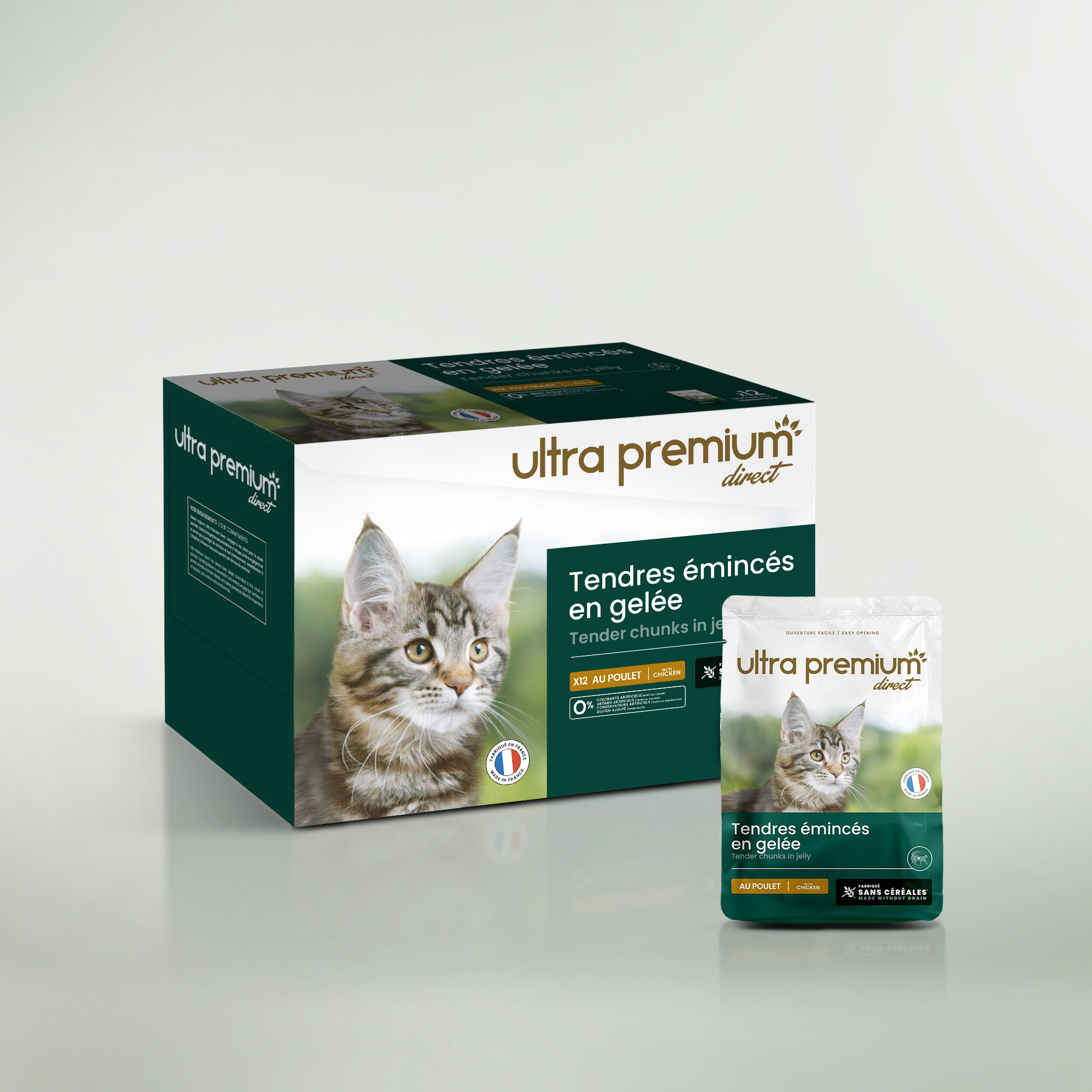 Gesneden graanvrije gelei voor kat met kip op een lichtgroene achtergrond