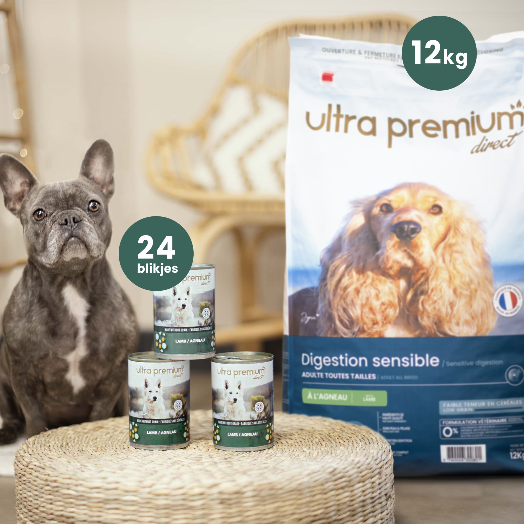 Franse bulldog naast een zak van kg super premium lam en brokken voor volwassen hond van alle groottes, en 24 blikjes graanvrije met lam