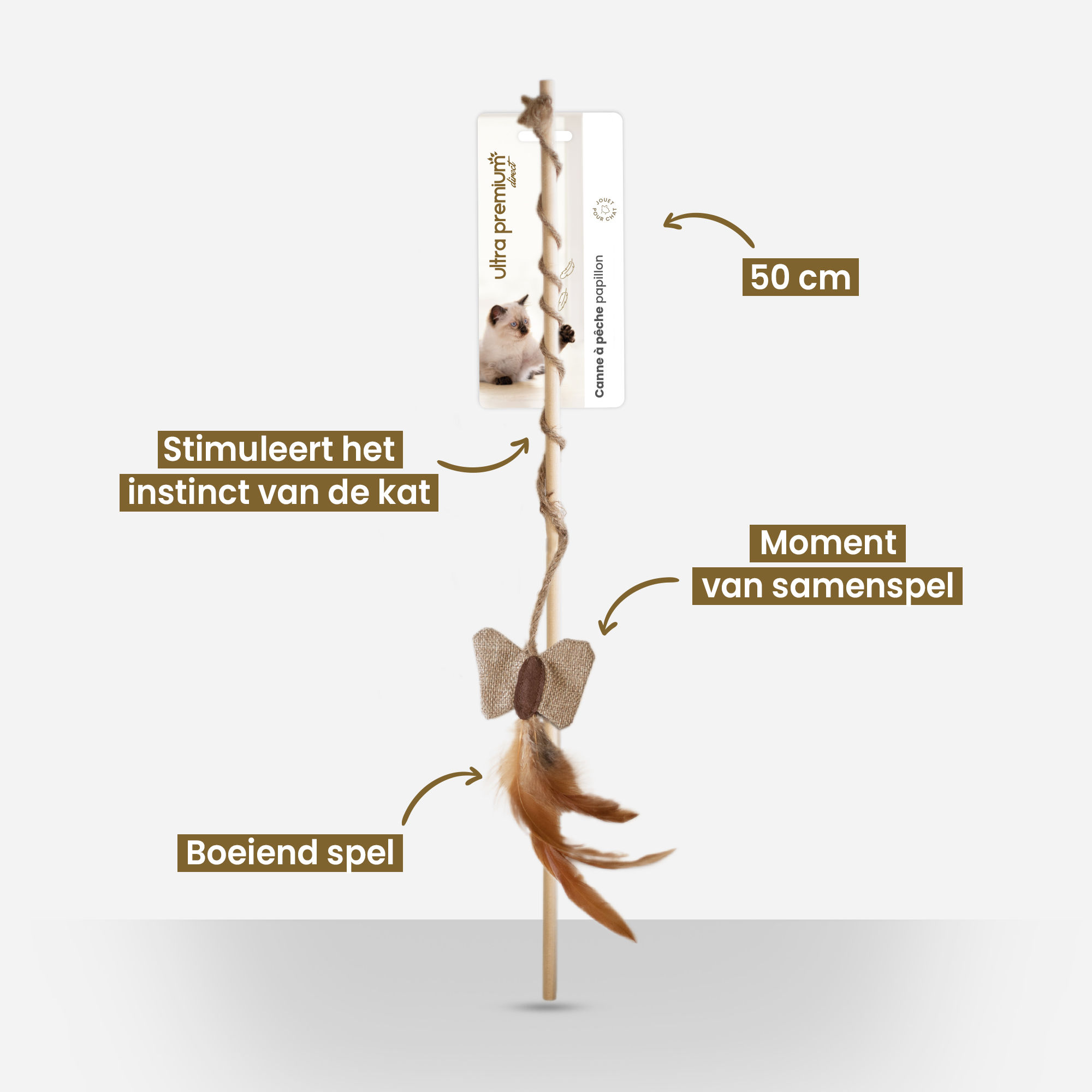 Gember Cyperse Kat zit en kijkt naar Ultra Premium Direct hengelspeelgoed