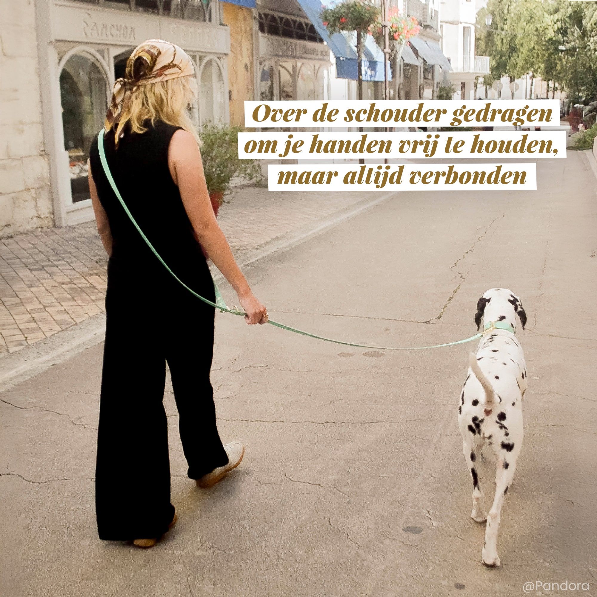 Dalmatiër aan de wandel met een saliegroene multi-positie riem Fidèle Paris in samenwerking met Ultra Premium Direct