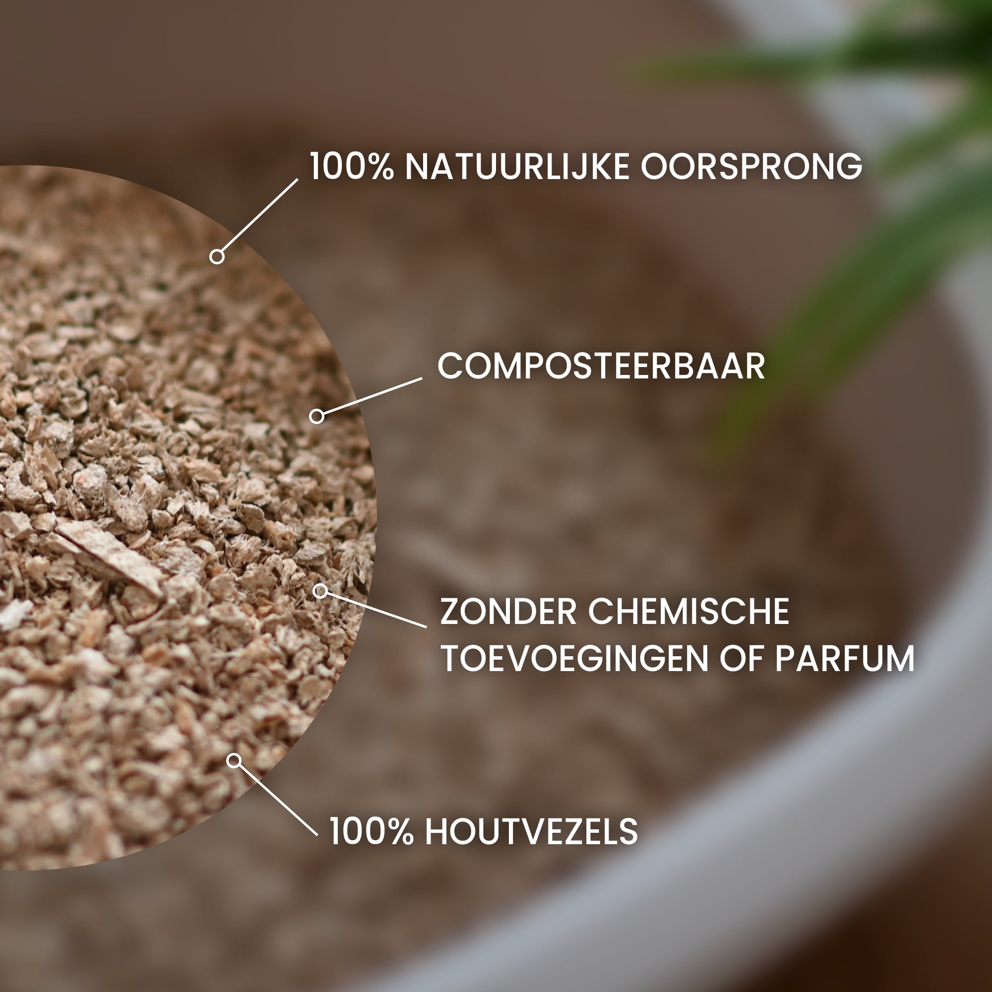 Wij benadrukken de voordelen en textuur van plantaardige kat