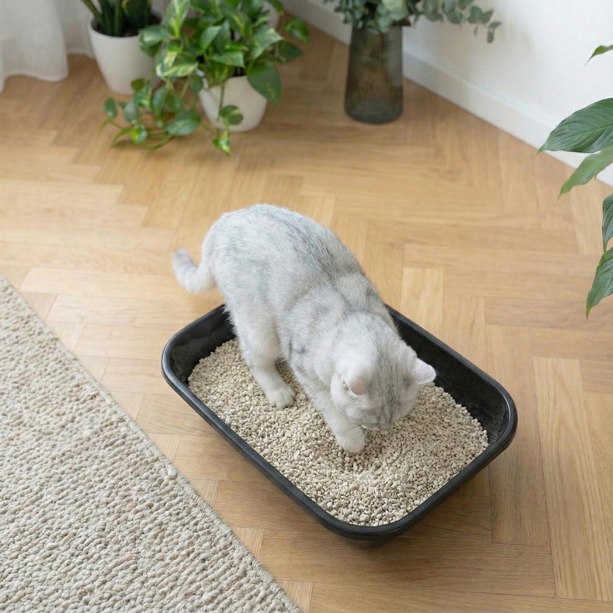 Wij benadrukken de voordelen van 5L klonterende minerale kattenbakvulling gemaakt van 100% natuurlijke klei