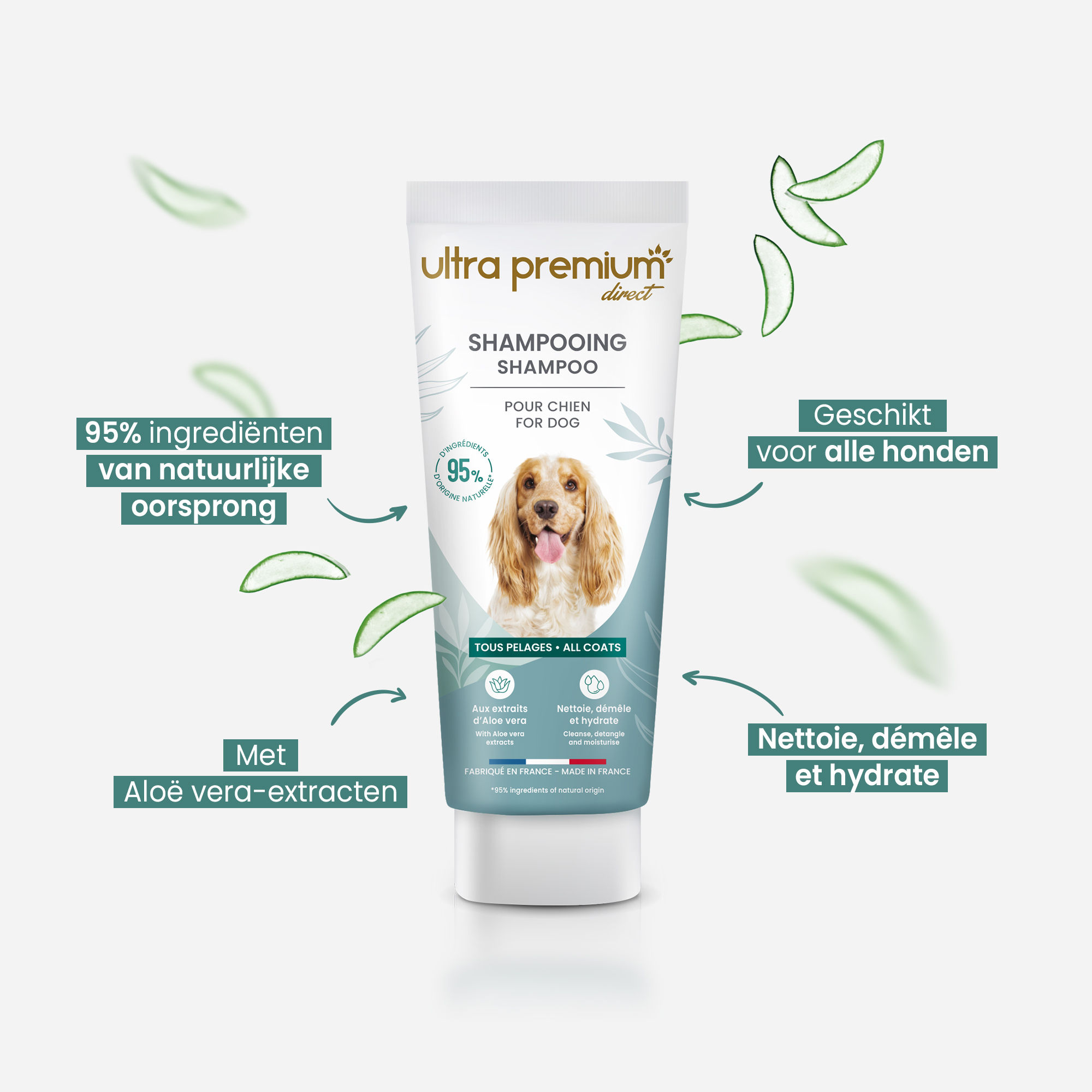 Wij benadrukken de voordelen van shampoo voor alle hond