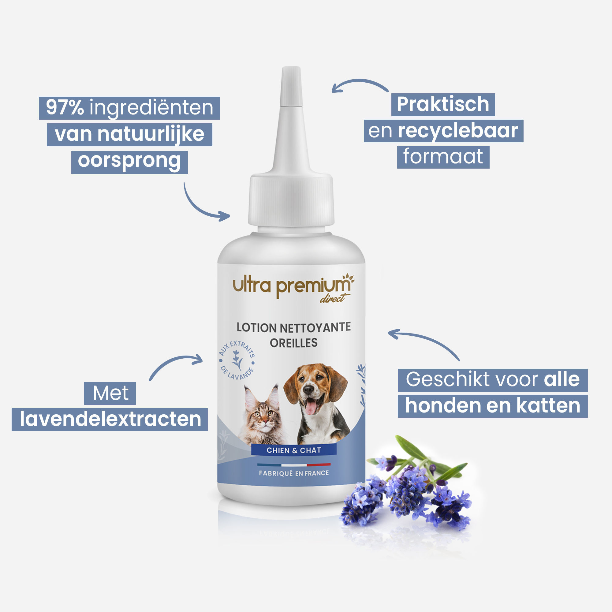 Kruising teckel zit naast oorreinigingslotion voor hond en kat