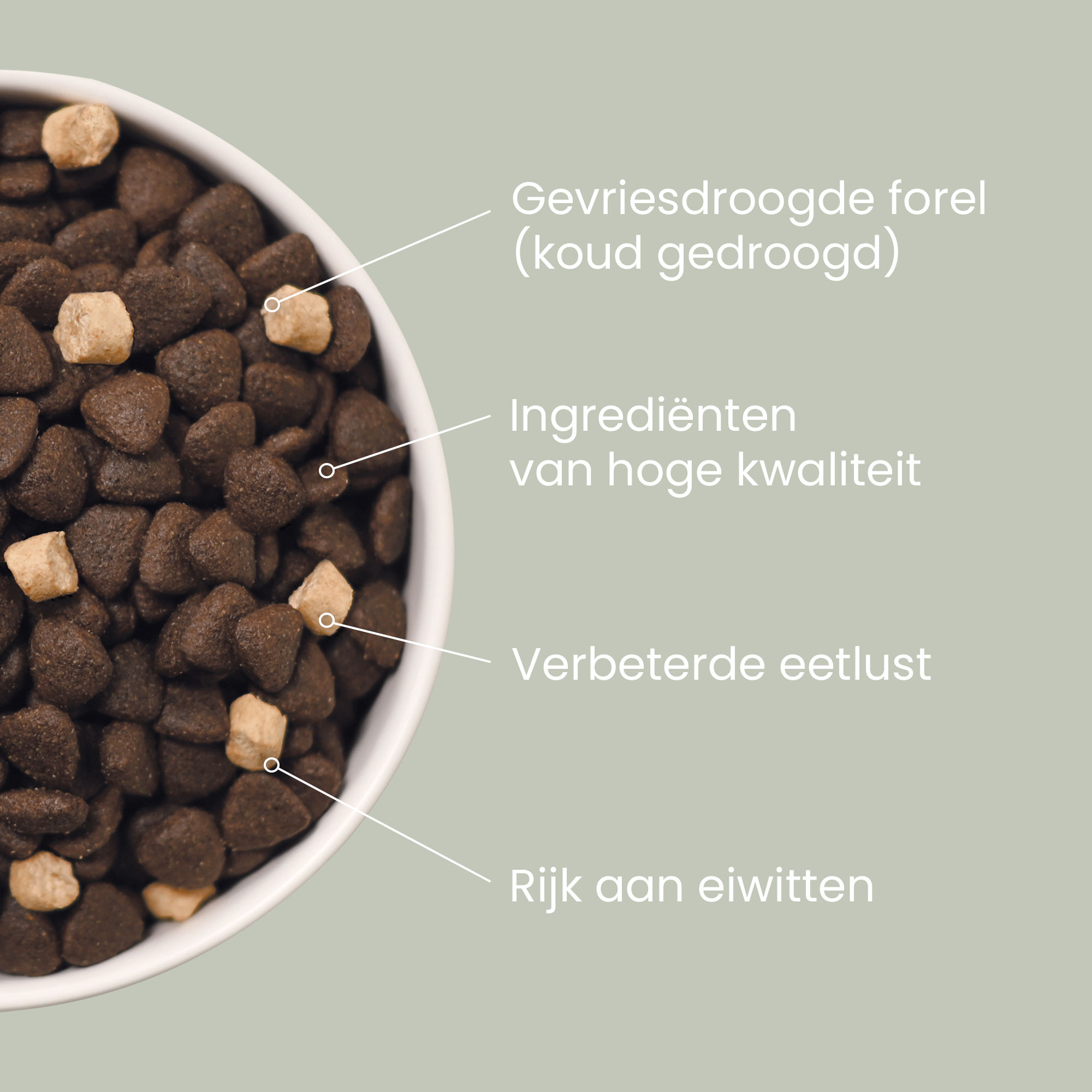 Een nadere blik op een kom graanvrije rauwe lams- en forelbrokjes