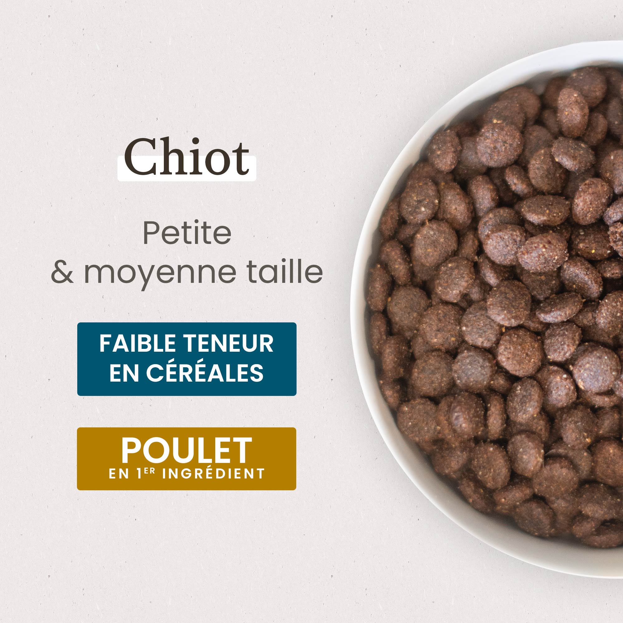 Gamelle contenant les croquettes Super Premium pour chiot de petite et moyenne taille en gros plan