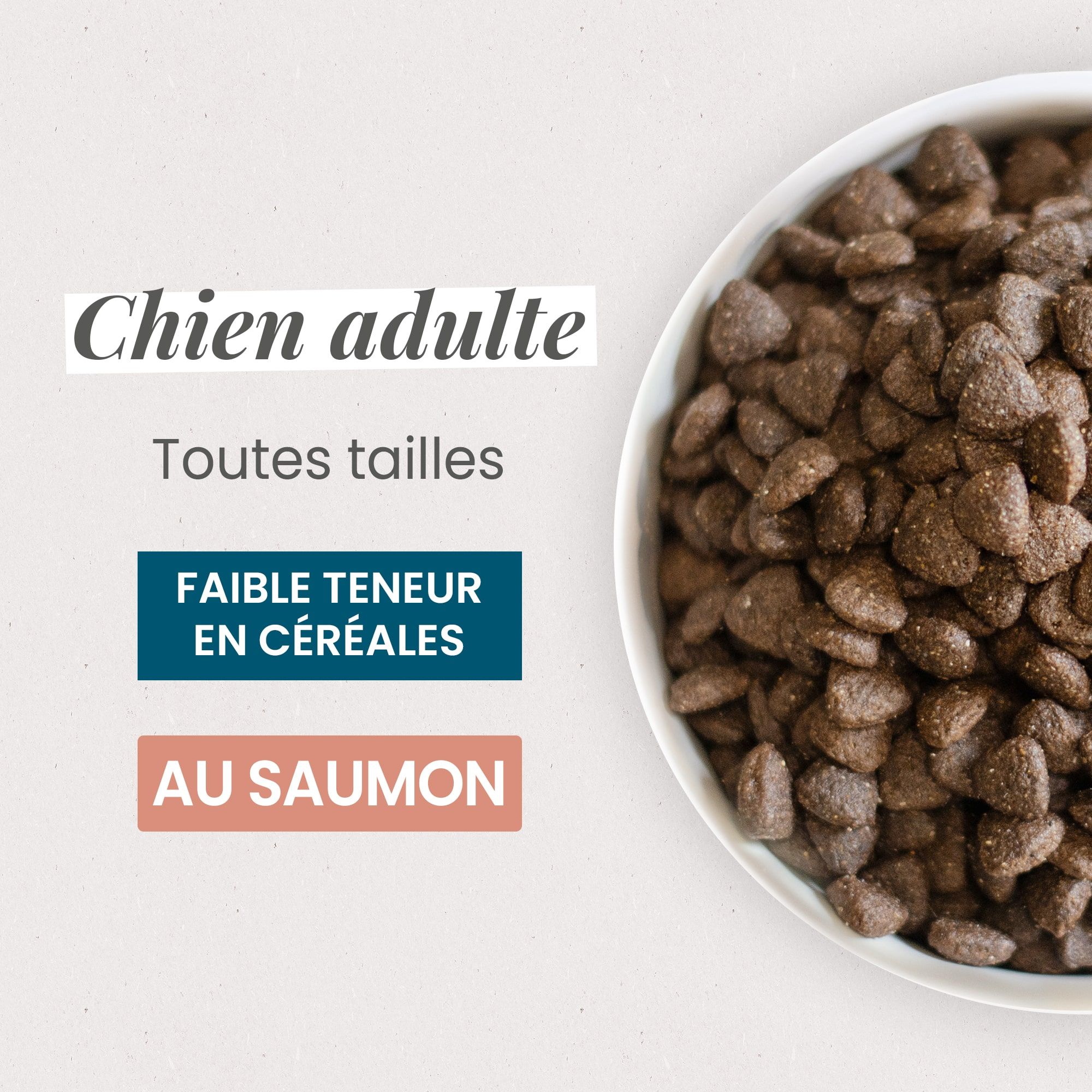 Croquettes Super Premium pour Chien Saumon et Riz