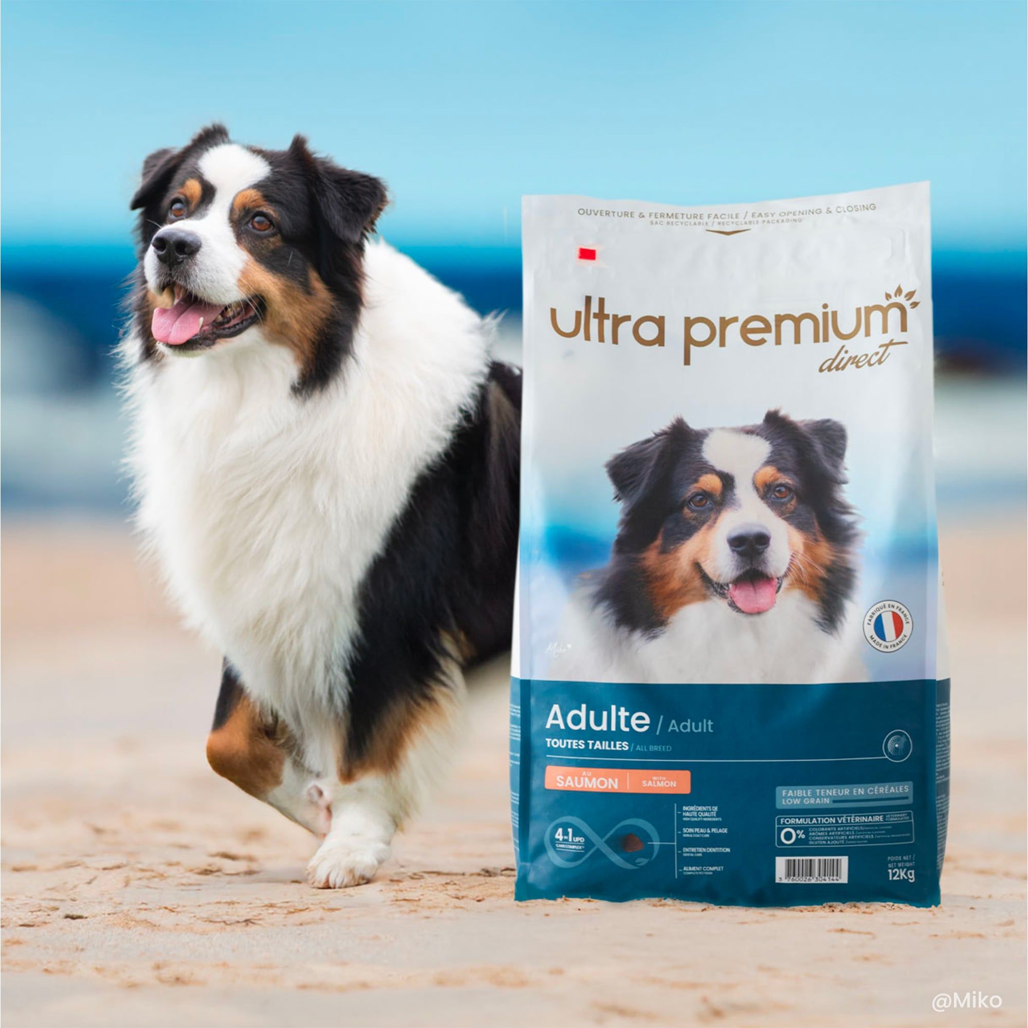 Croquettes Super Premium pour Chien Saumon et Riz