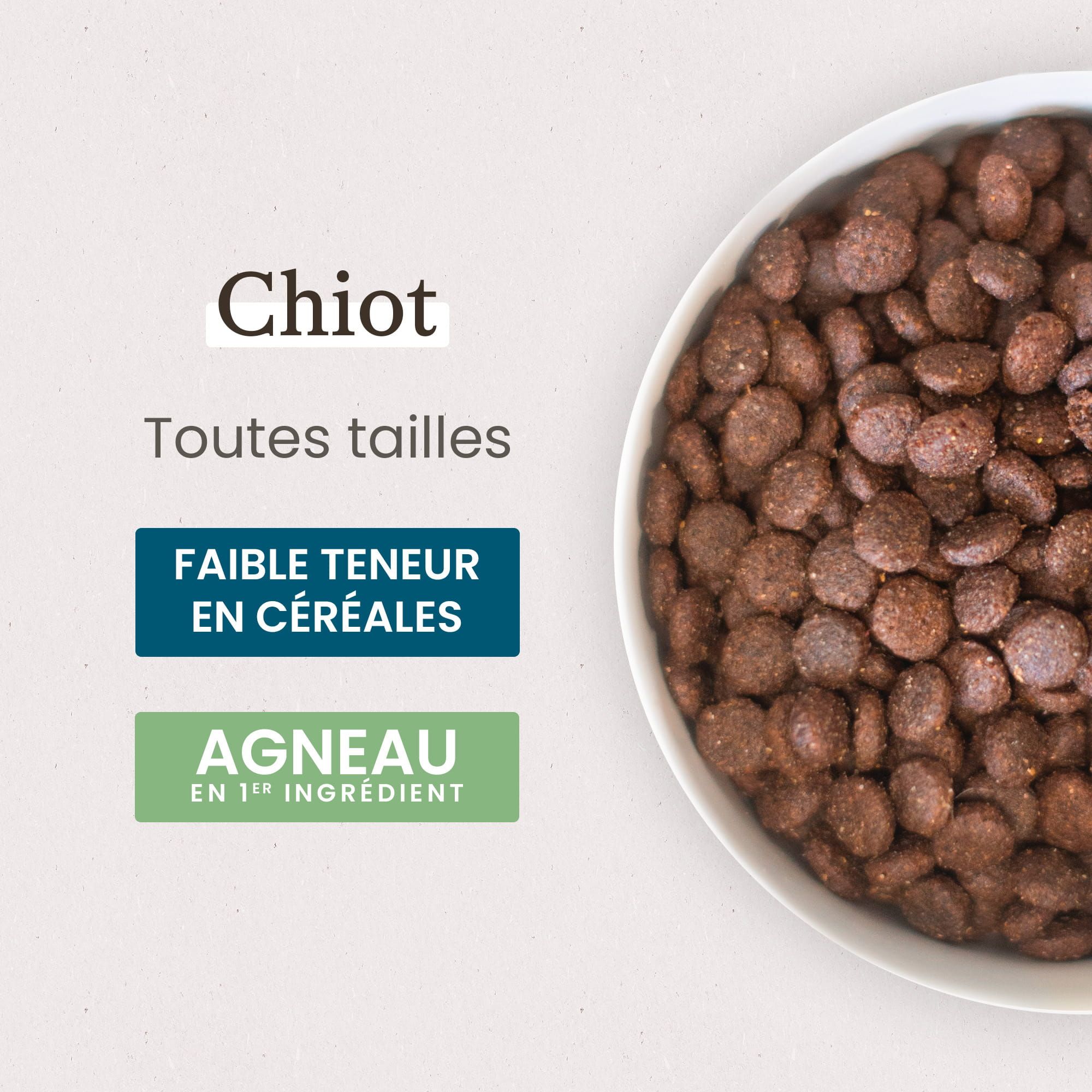 Zoom gamelle de Croquettes Super Premium pour chiot de toutes tailles