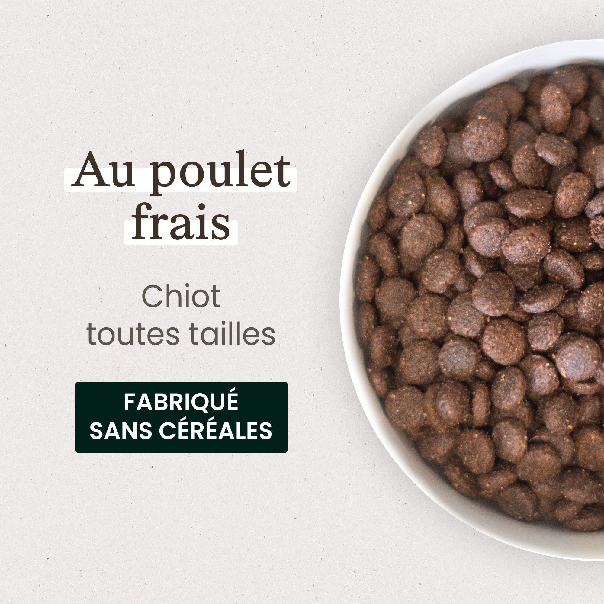 Gamelle contenant les croquettes sans céréales au poulet frais pour chiot en gros plan