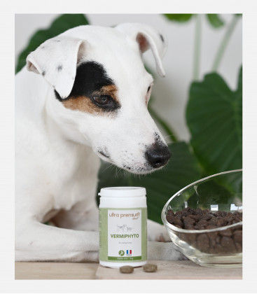 Vermifuge Naturel - Vermiphyto - 30 comprimés