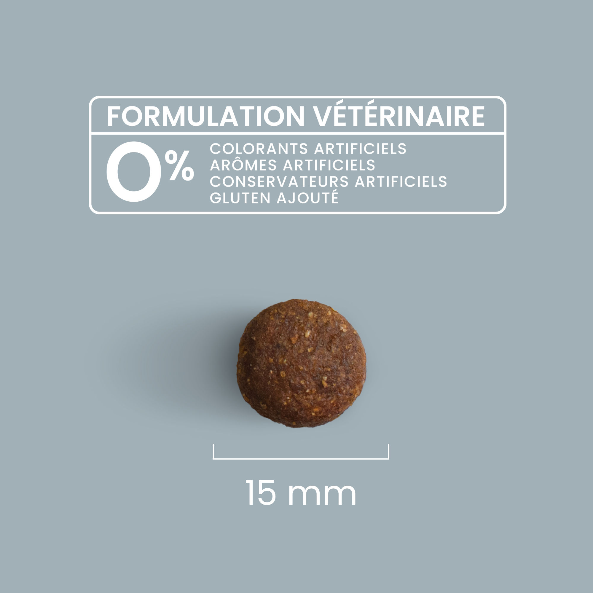 Zoom sur une croquette avec détails de taille et formulation vétérinaire pour chien adulte senior de toutes tailles