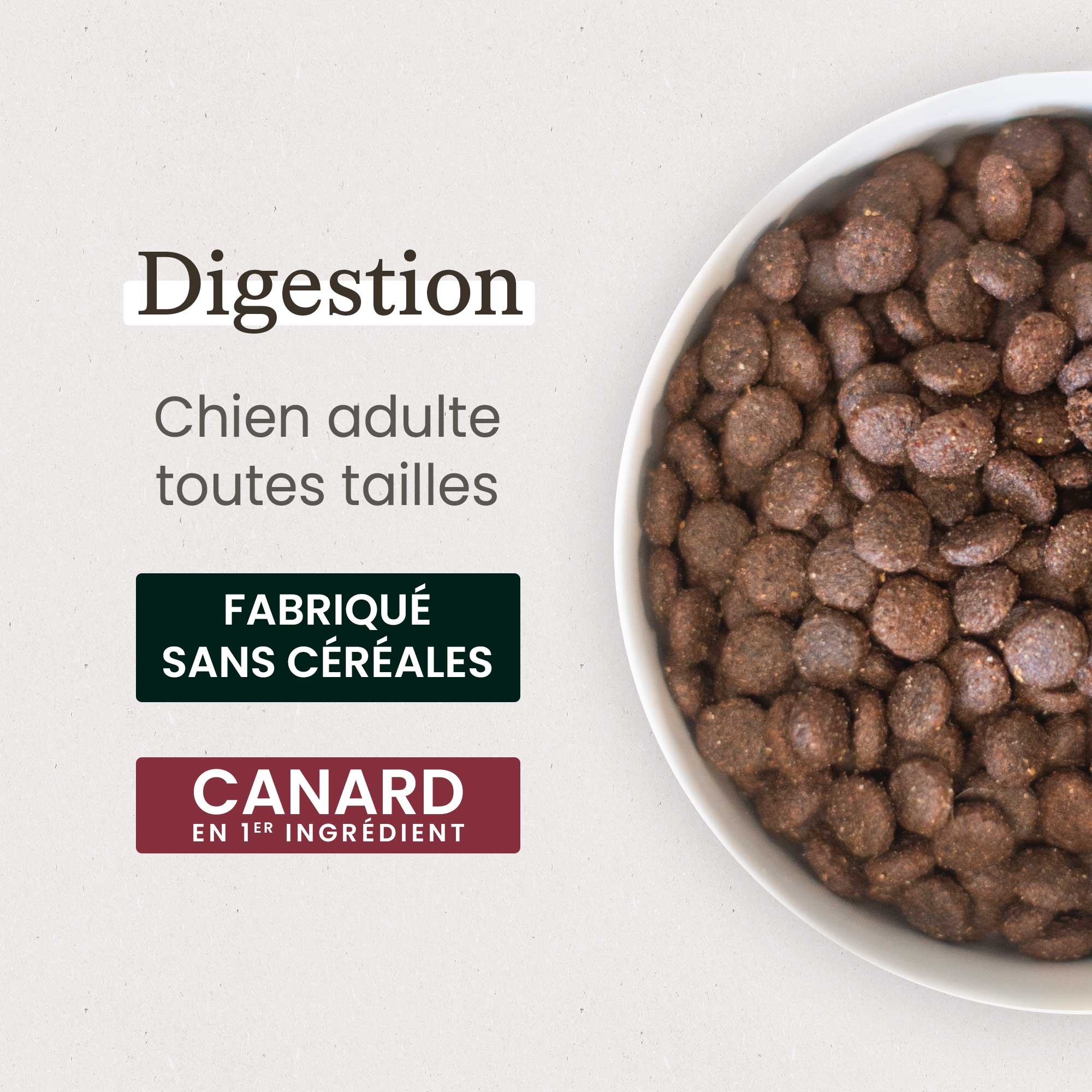 Zoom gamelle de croquettes digestion gamme Care au Canard