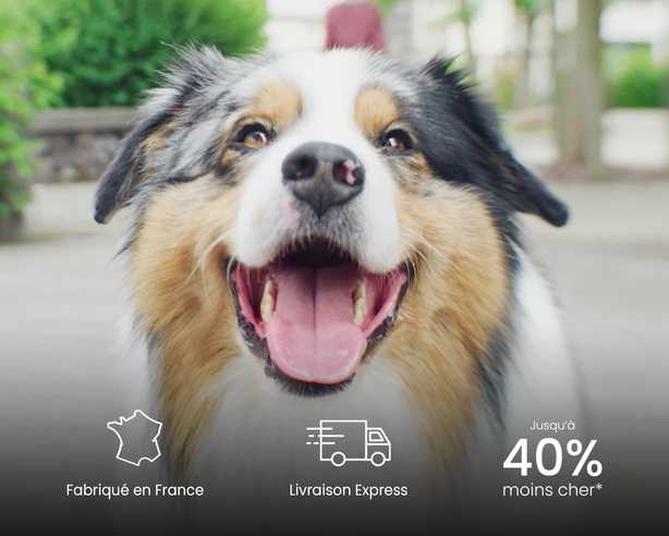 offre promotionnelle croquettes chien