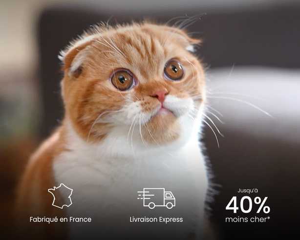 offre promotionnelle croquettes chat