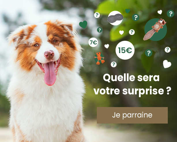 Offre parrainage